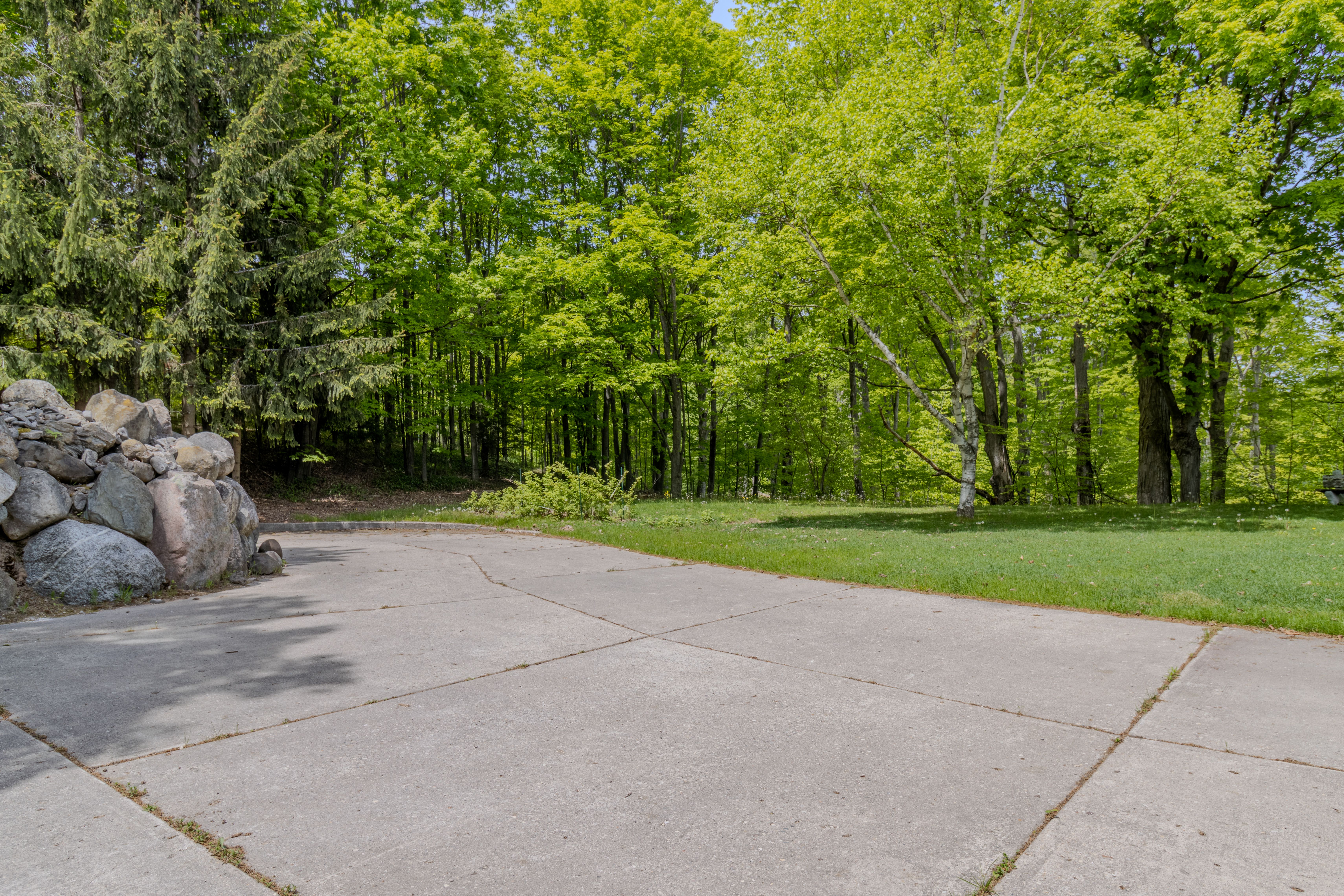 Violet's View | Photo 82