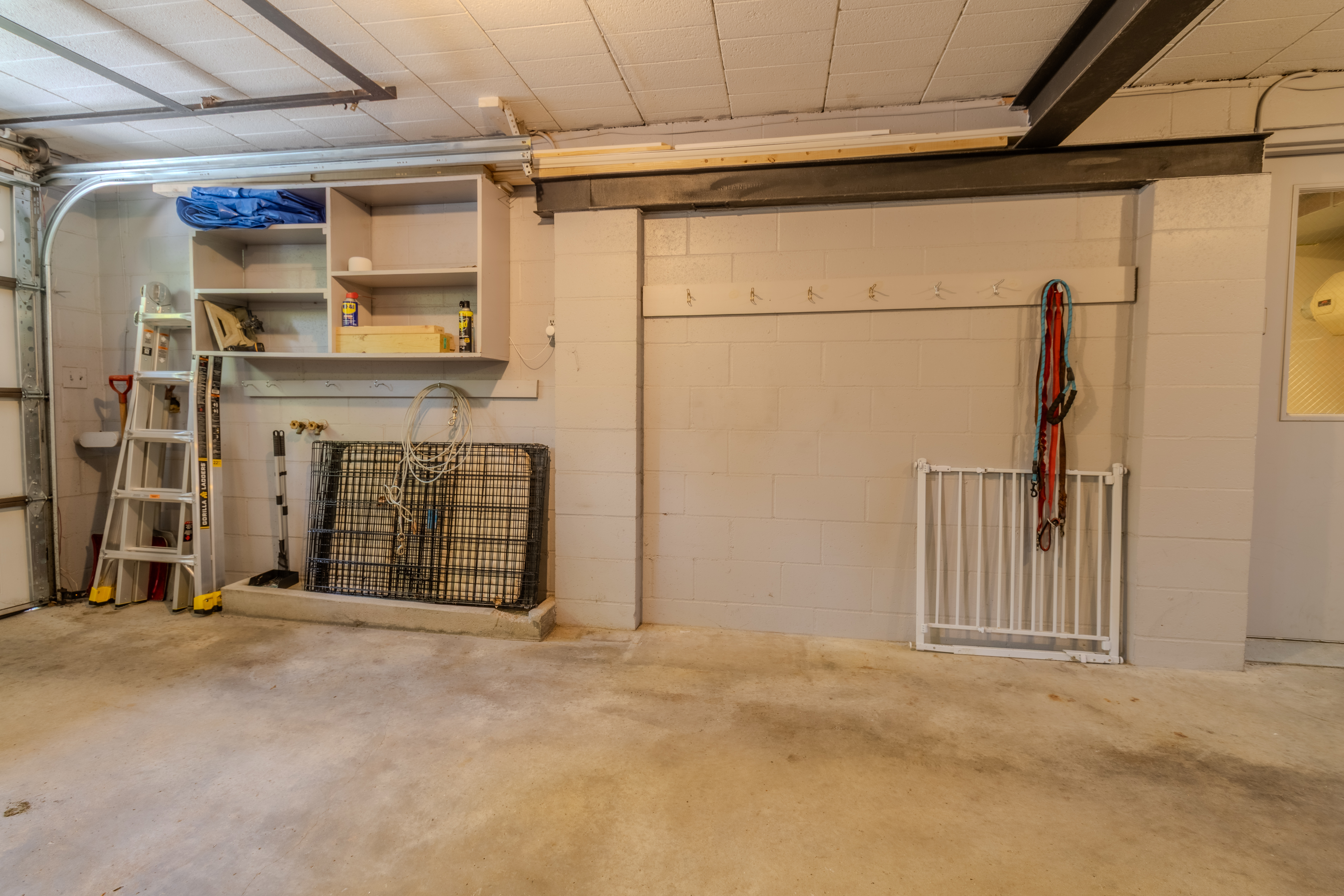 Violet's View | Photo 12