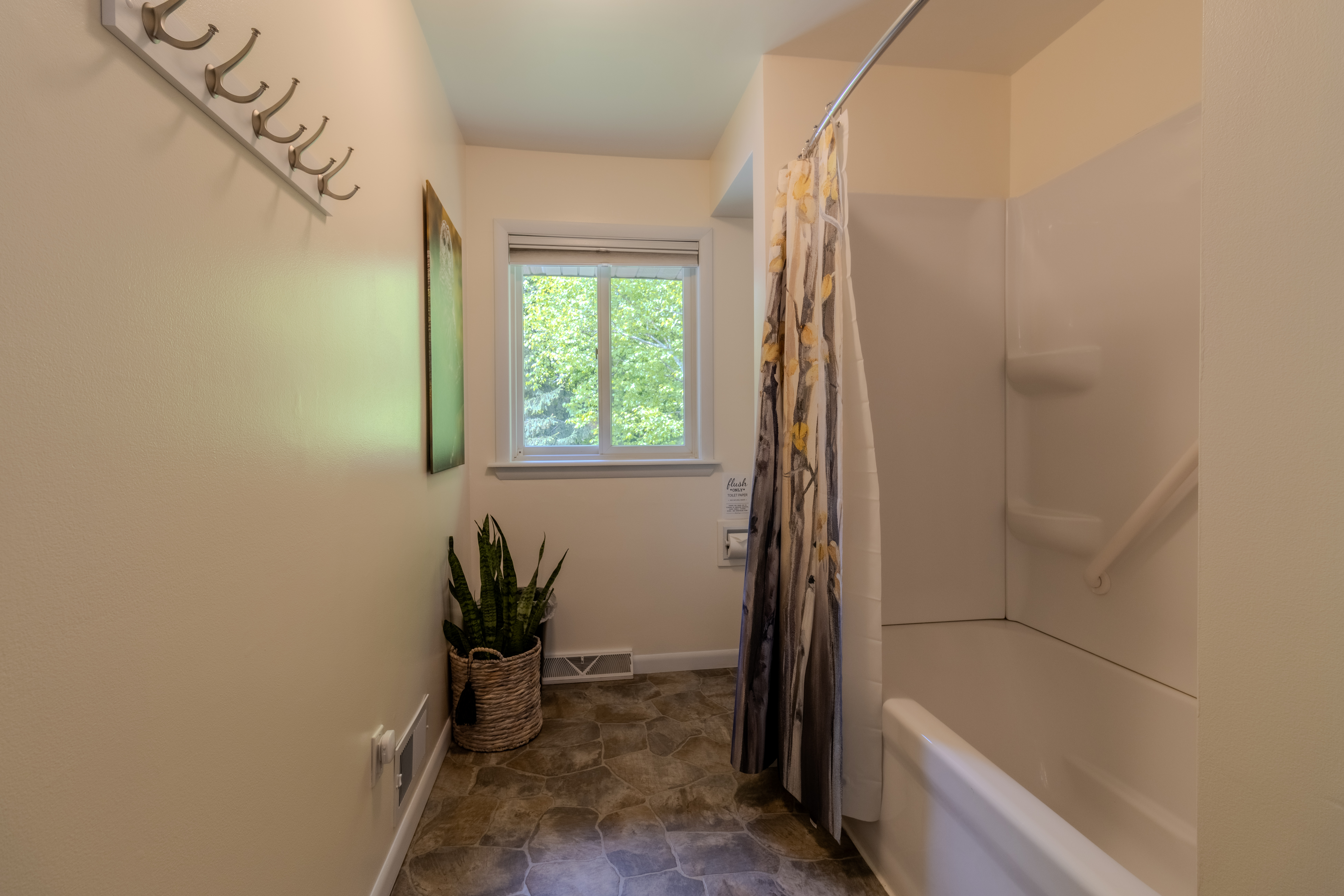 Violet's View | Photo 2