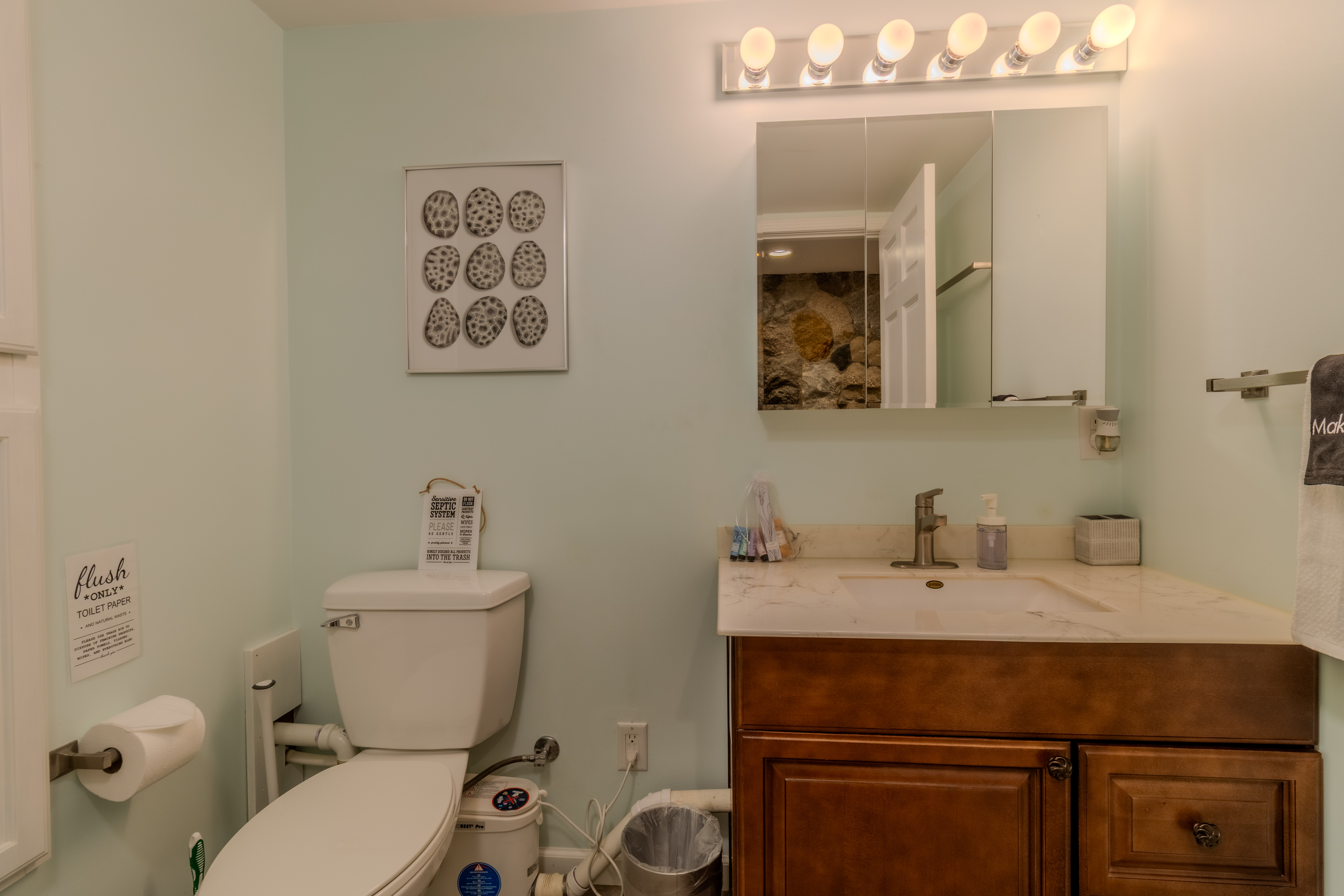 Violet's View | Photo 3