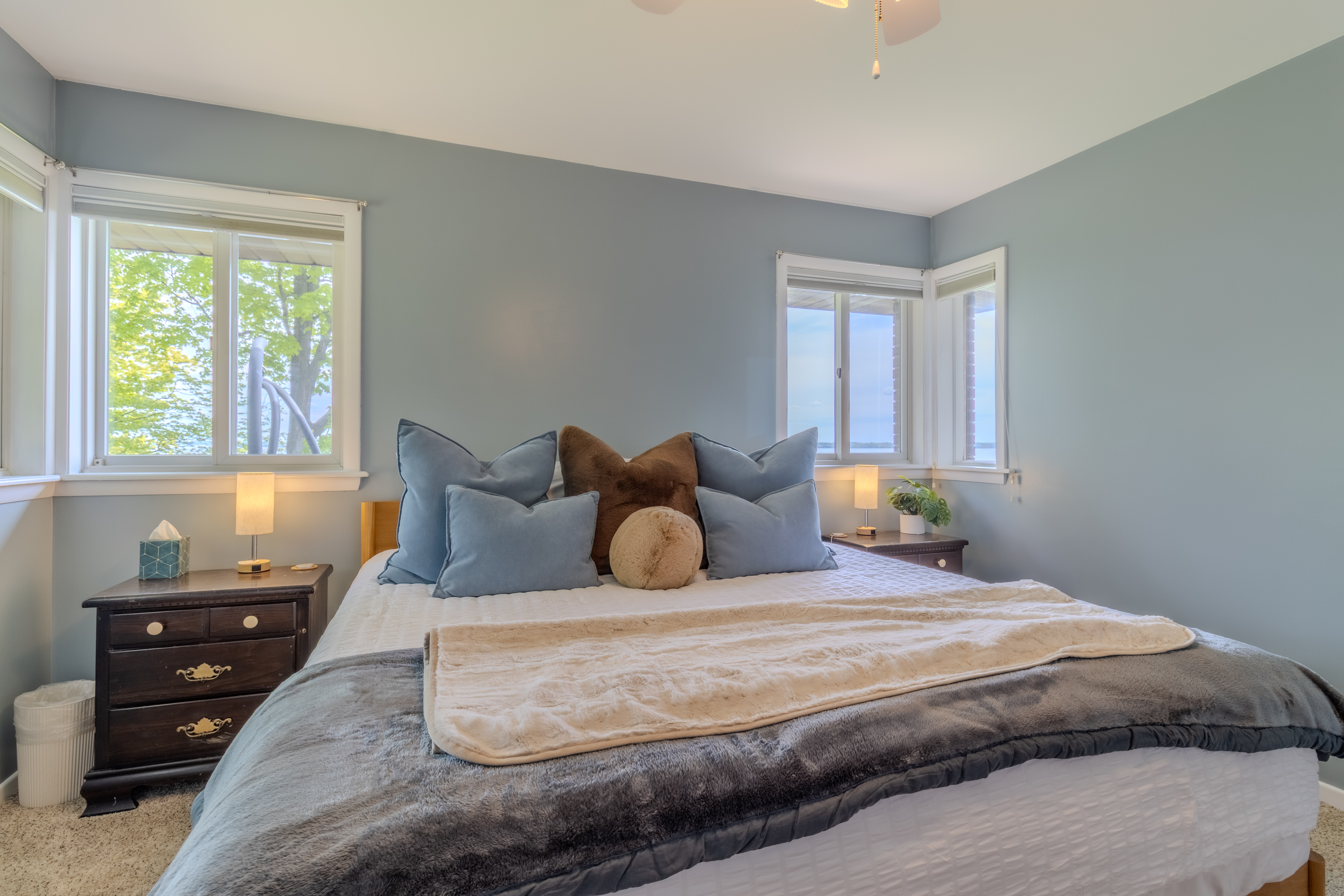 Violet's View | Photo 8