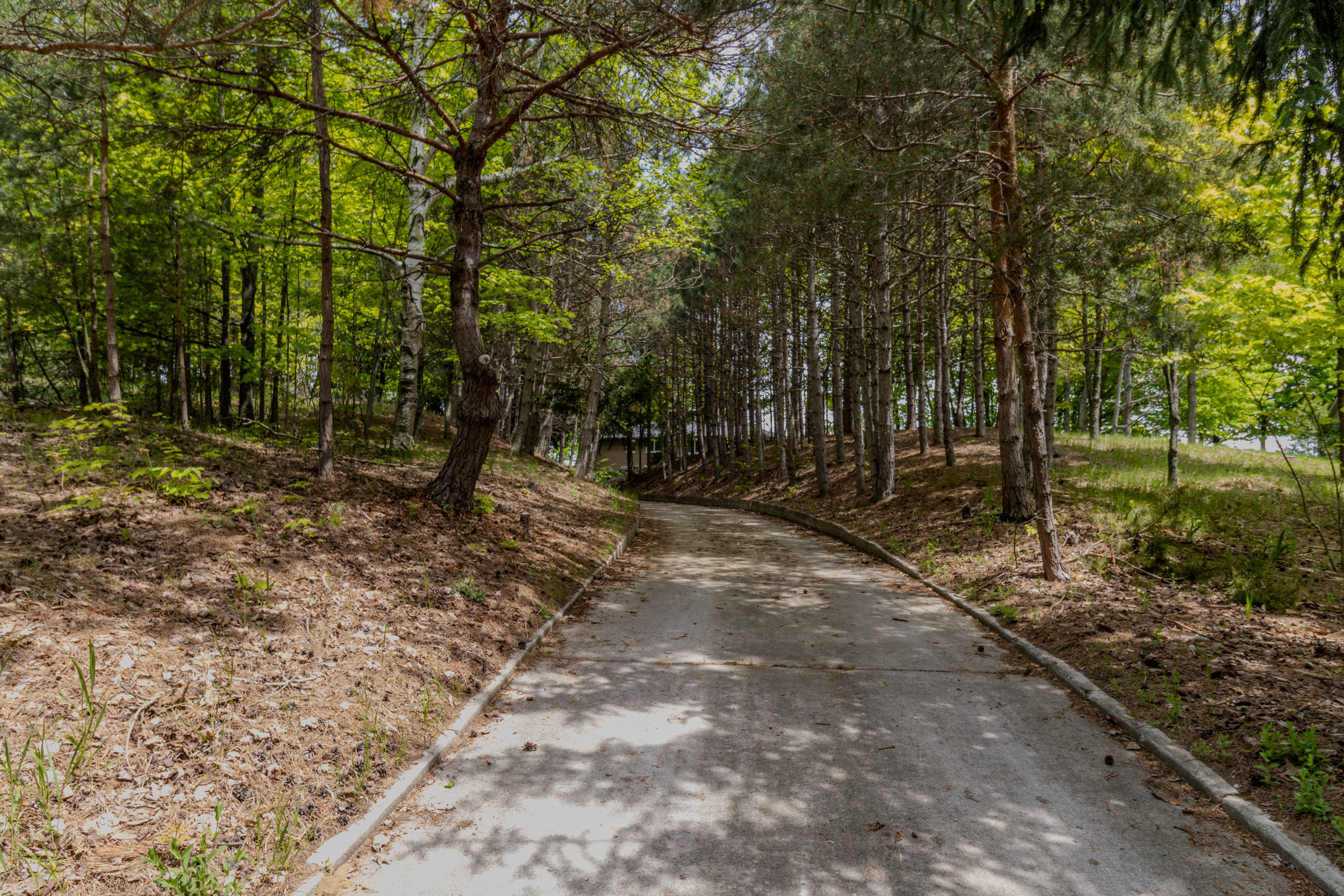 Violet's View | Photo 73