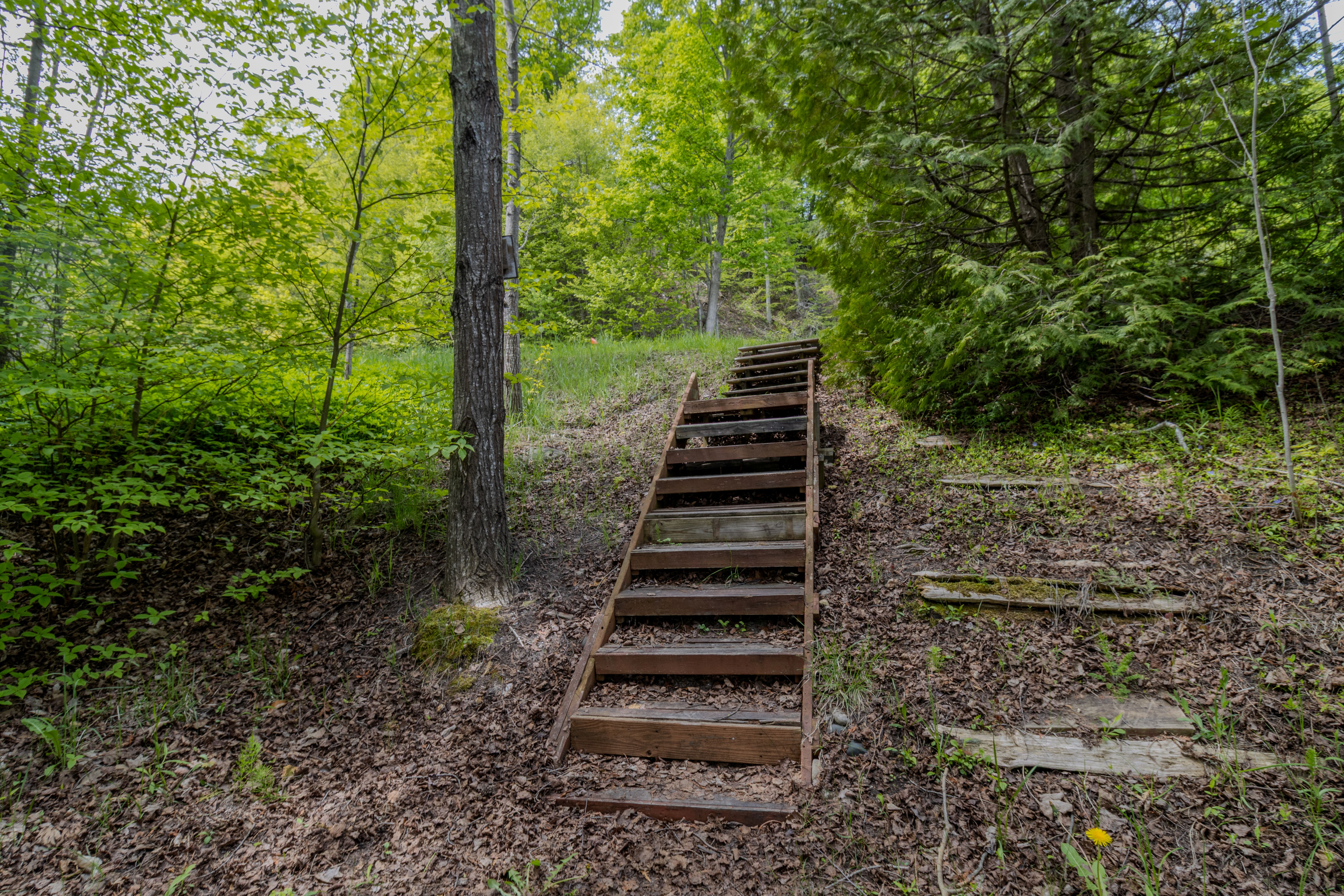 Violet's View | Photo 69