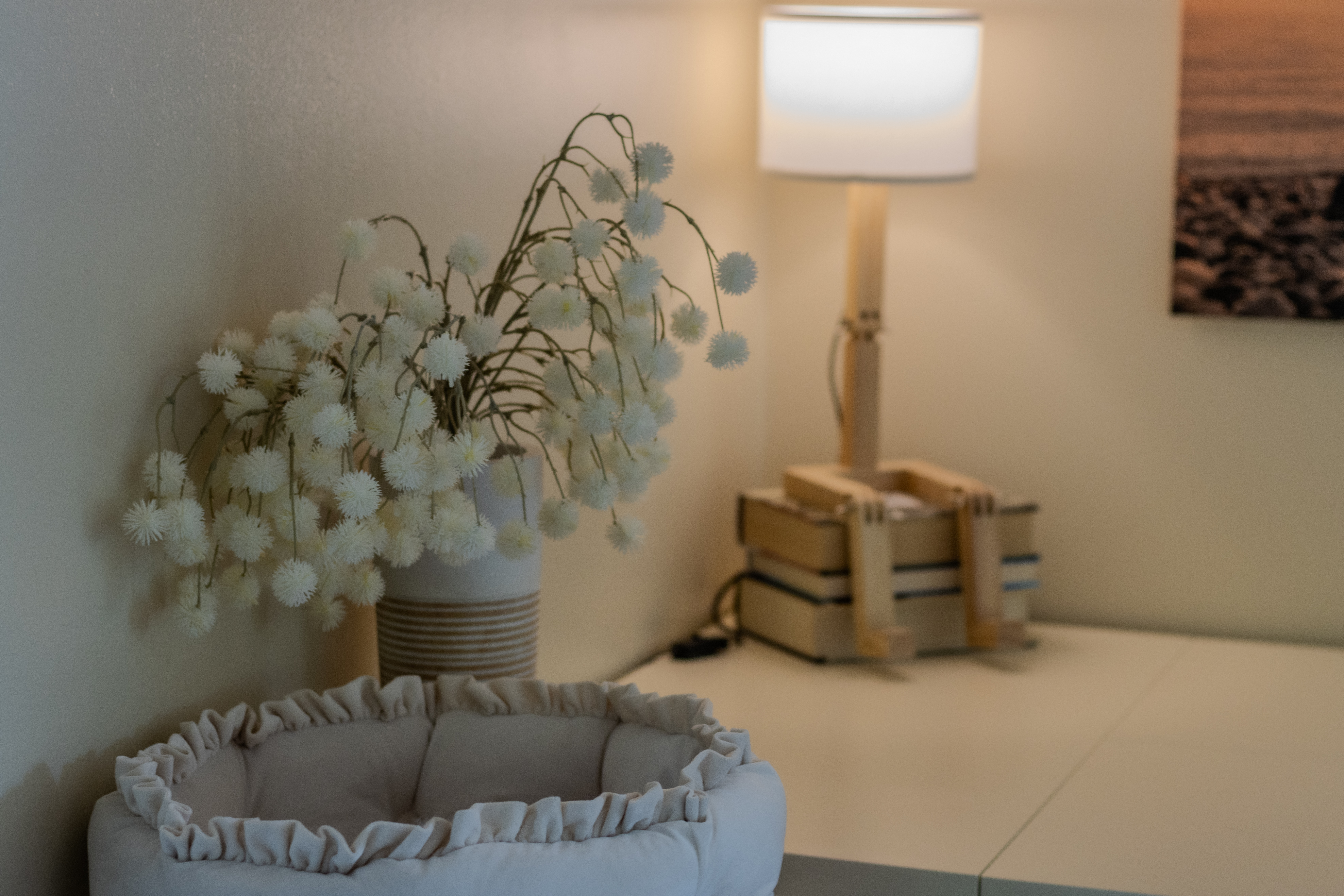 Violet's View | Photo 58