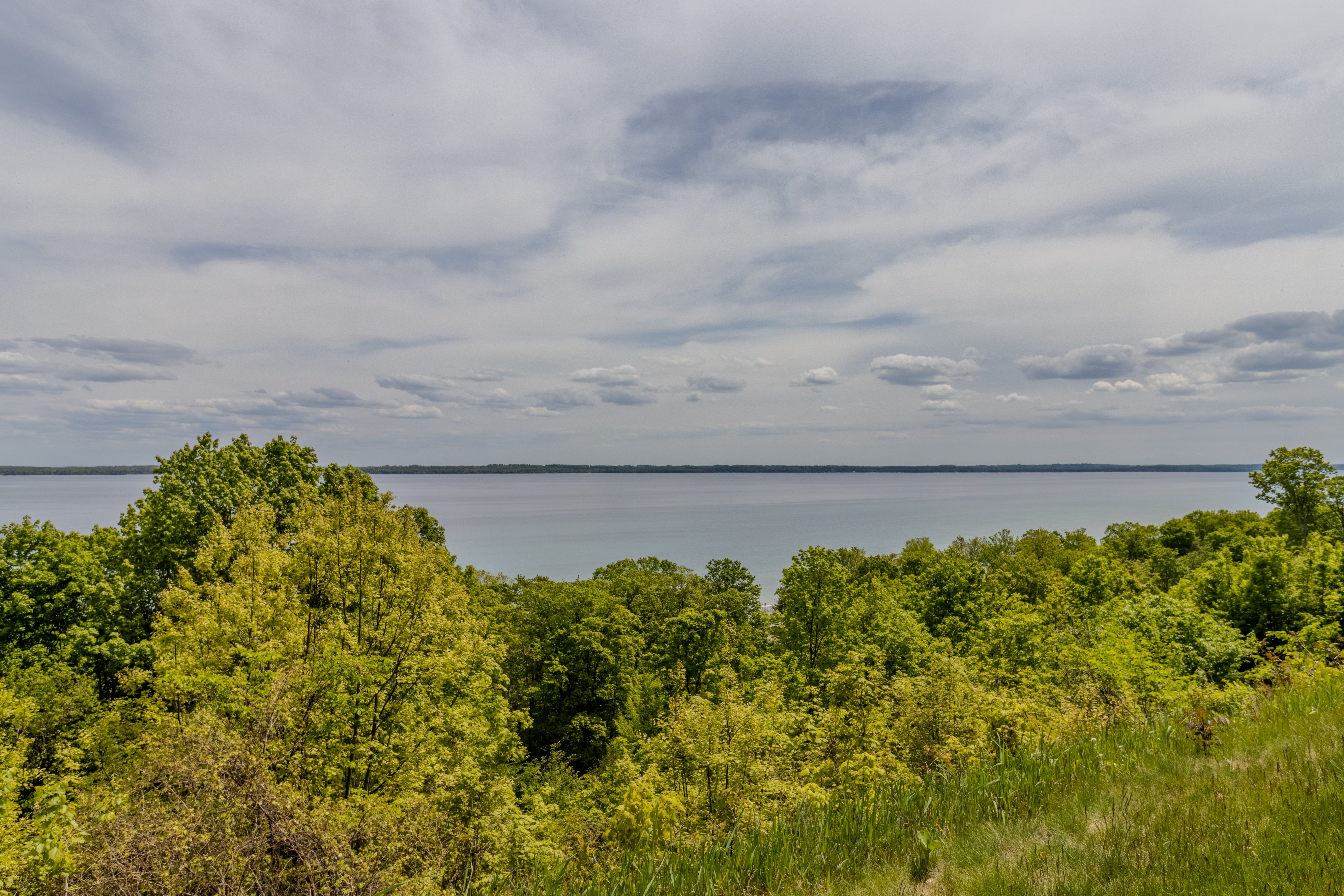 Violet's View | Photo 86