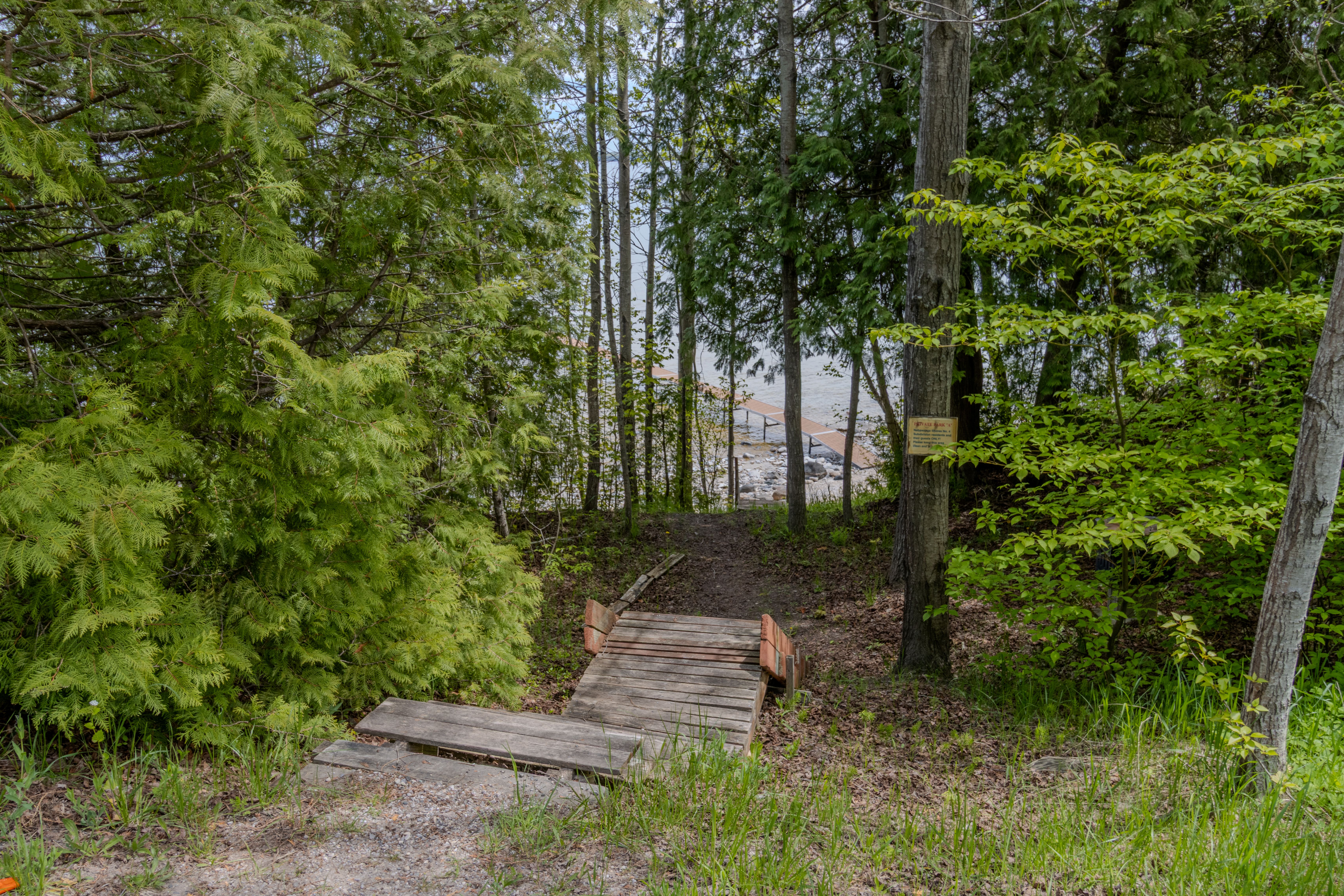 Violet's View | Photo 91