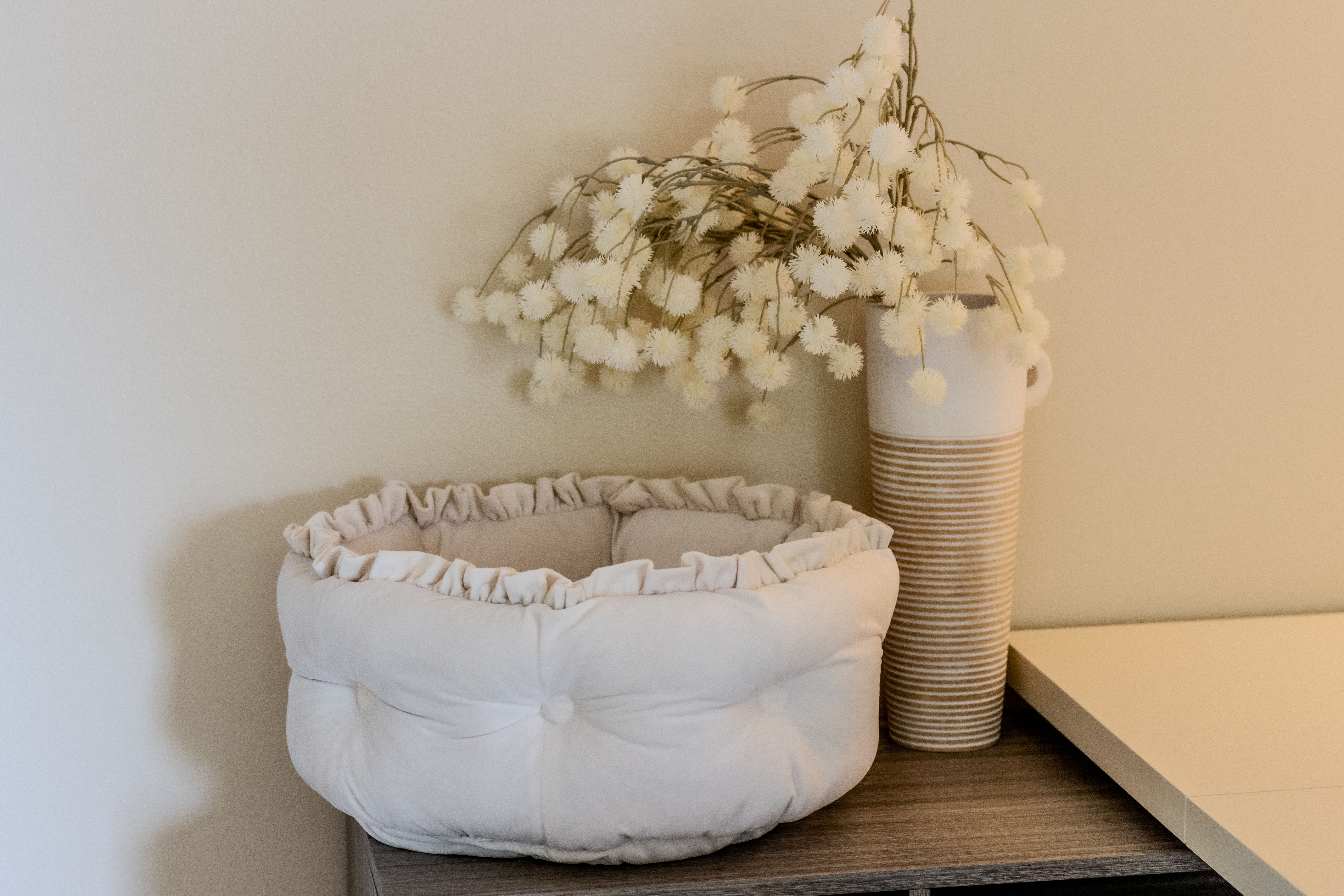 Violet's View | Photo 76