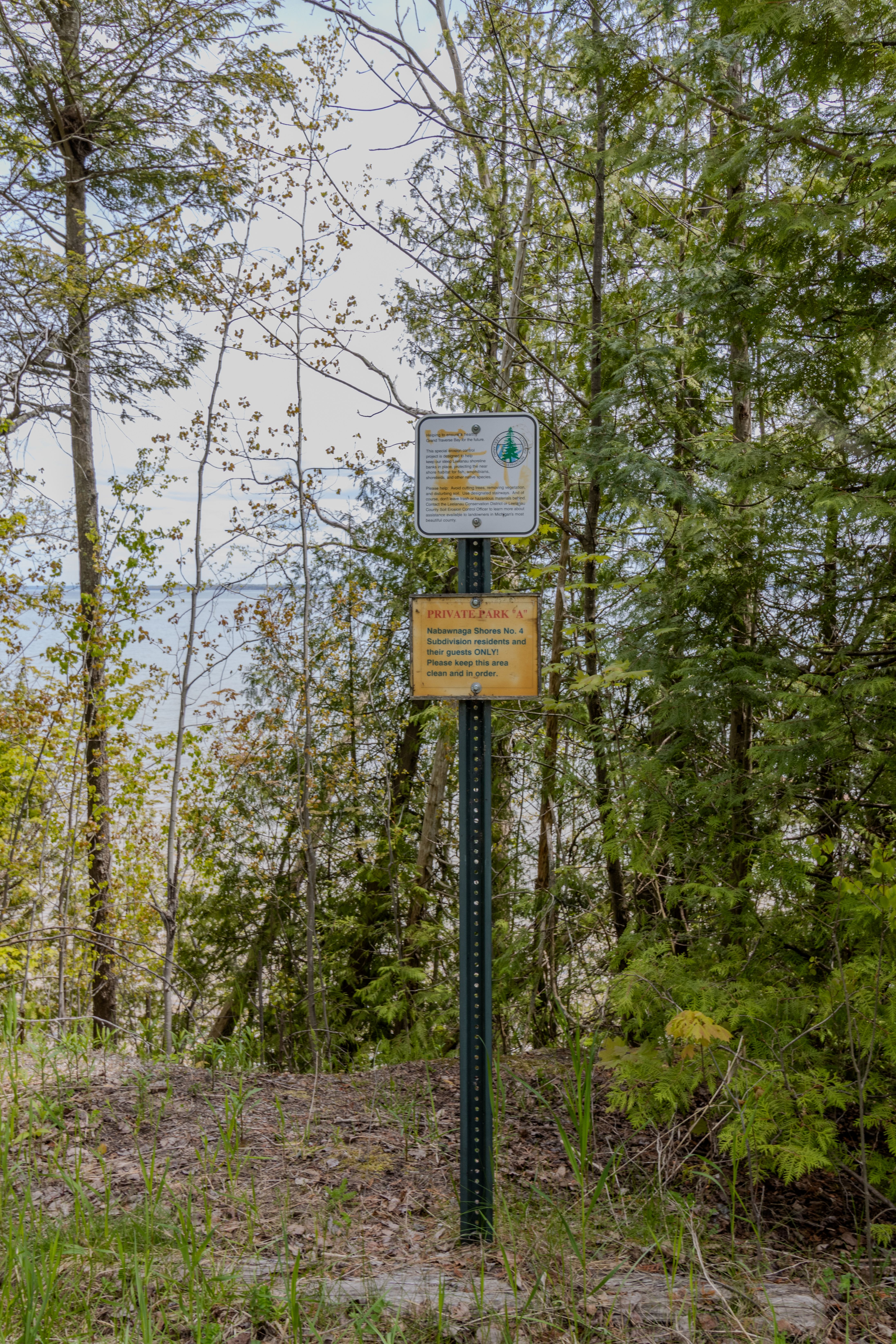 Violet's View | Photo 71