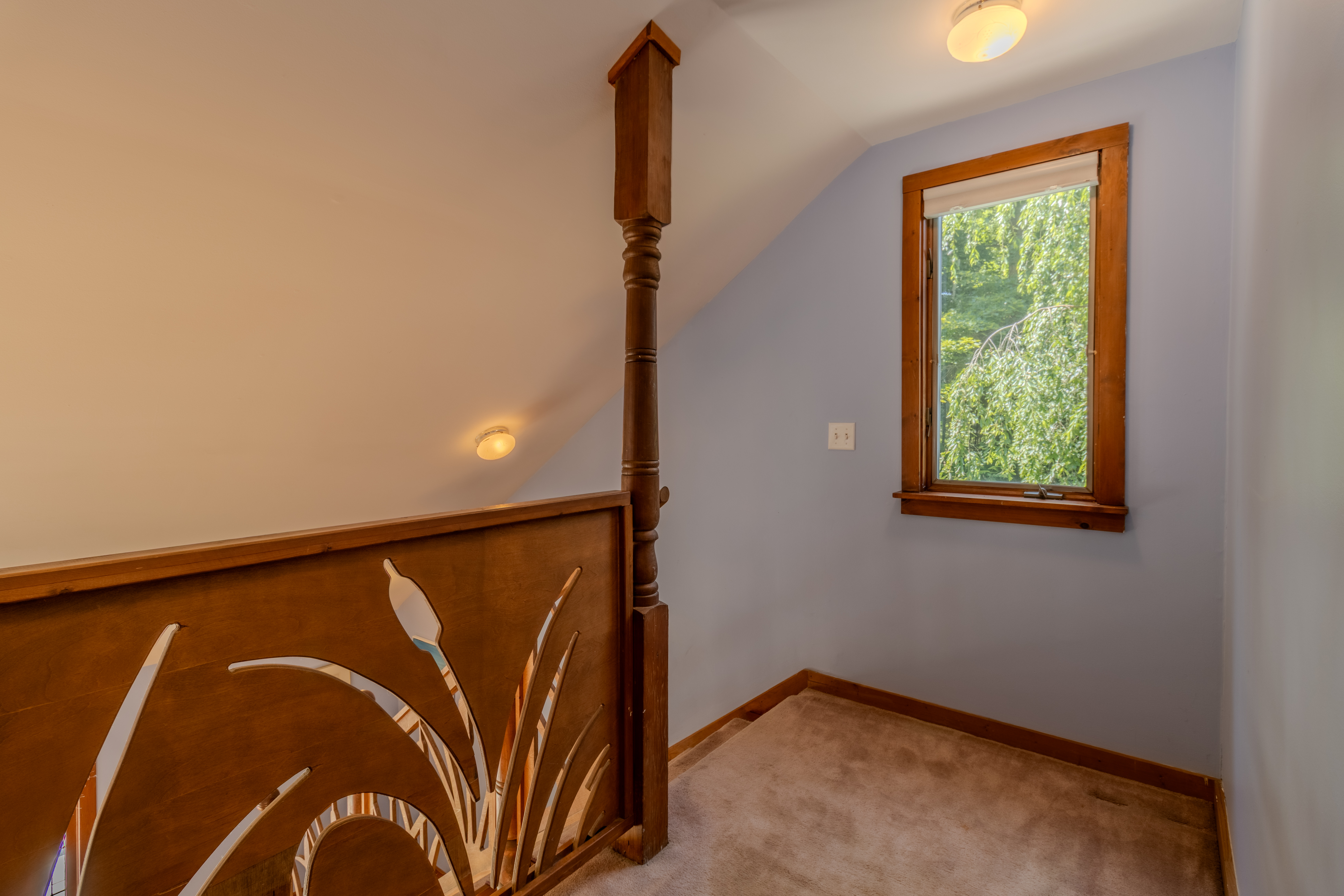 Wild Things Cottage | Photo 39