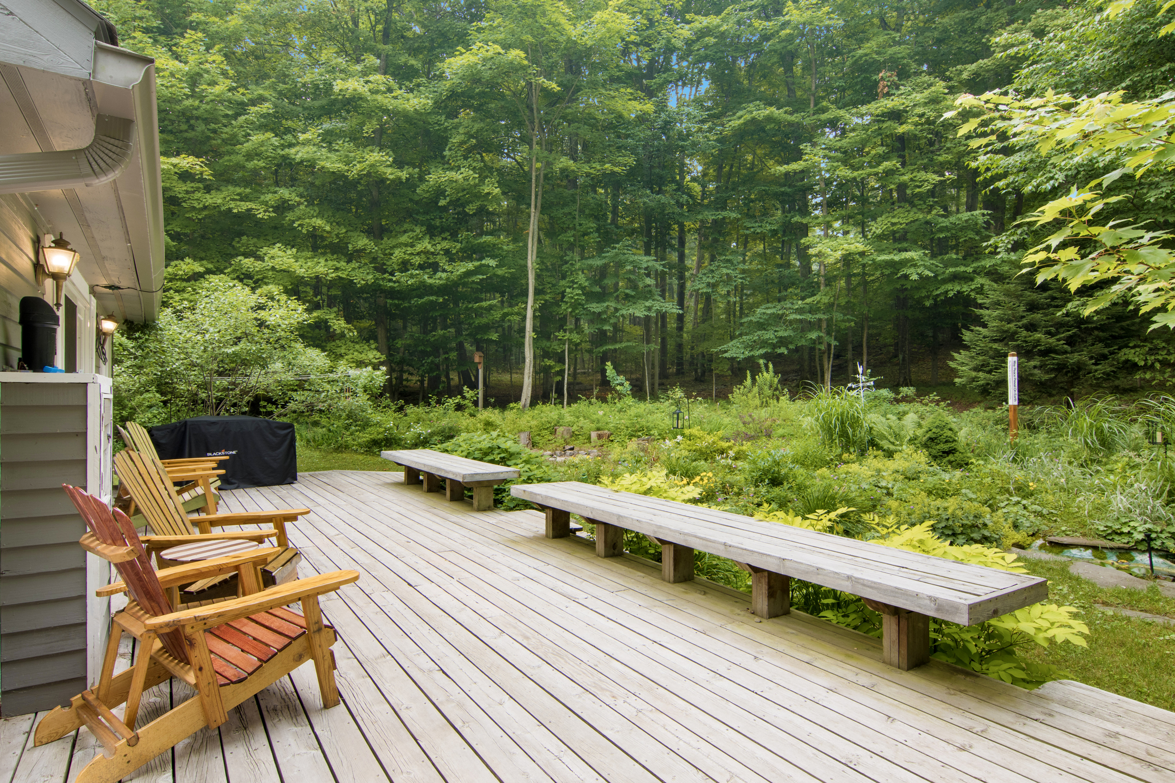 Wild Things Cottage | Photo 43