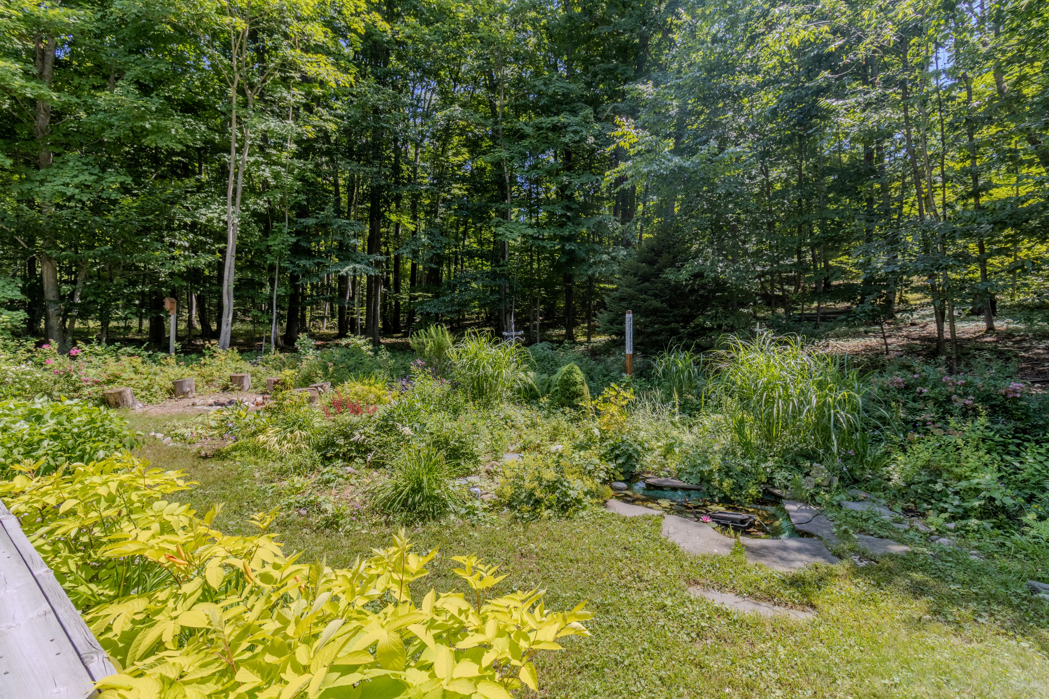 Wild Things Cottage | Photo 17