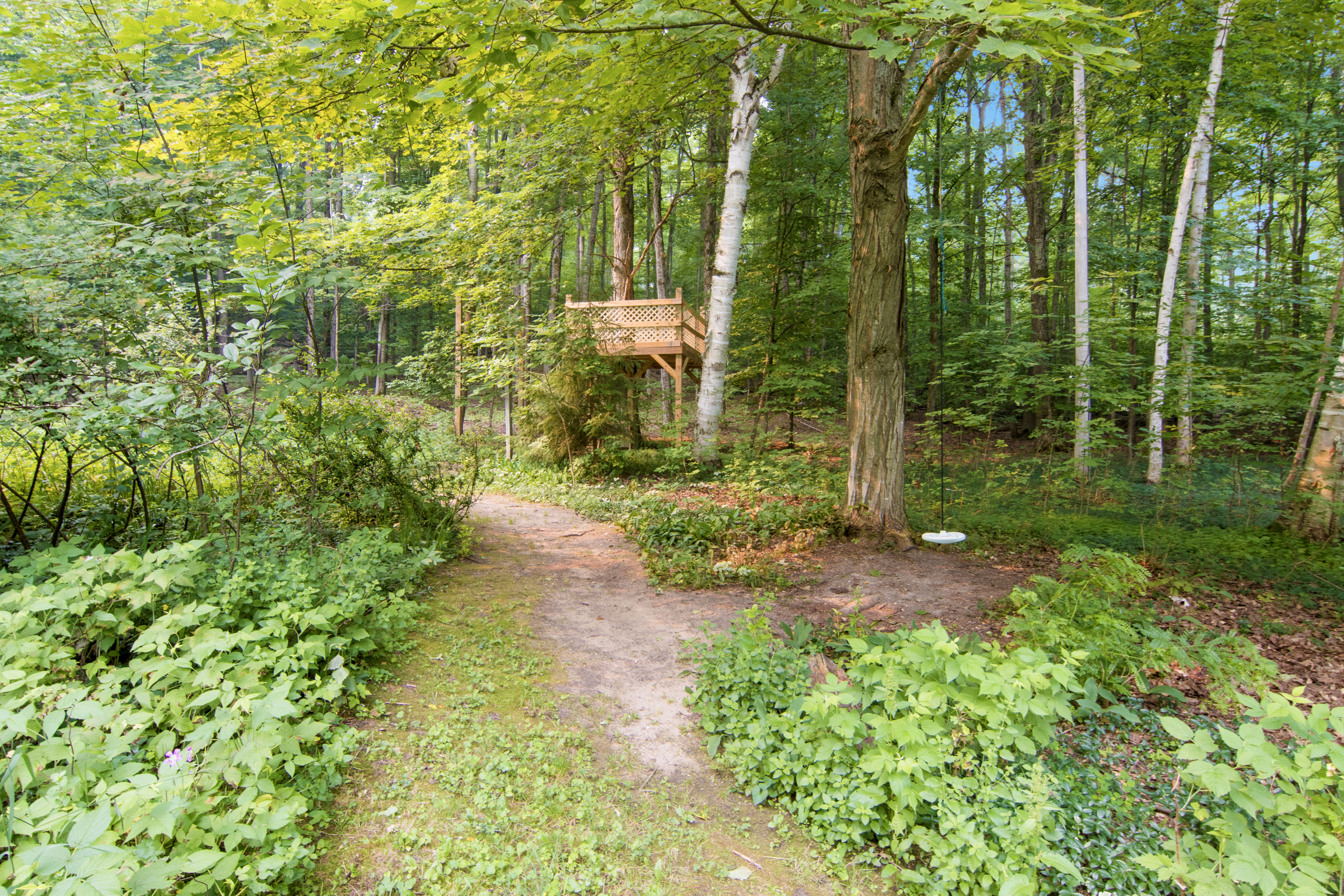 Wild Things Cottage | Photo 45