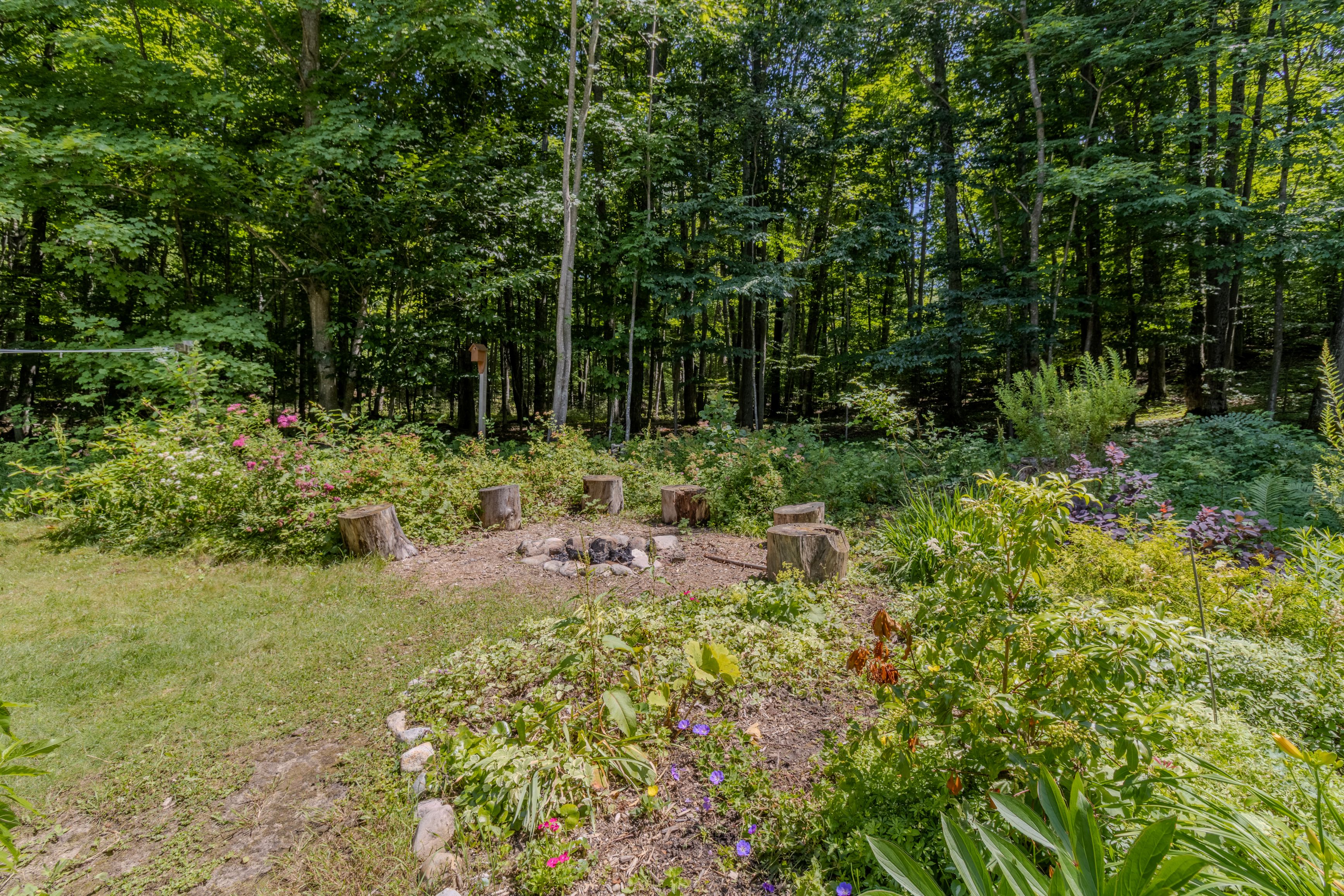 Wild Things Cottage | Photo 18