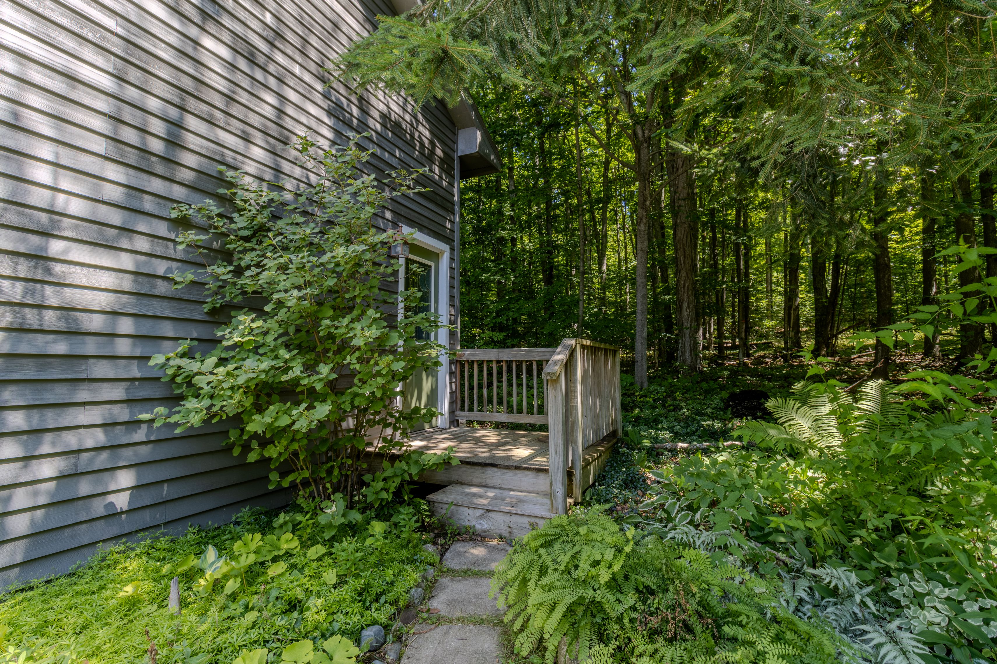 Wild Things Cottage | Photo 4