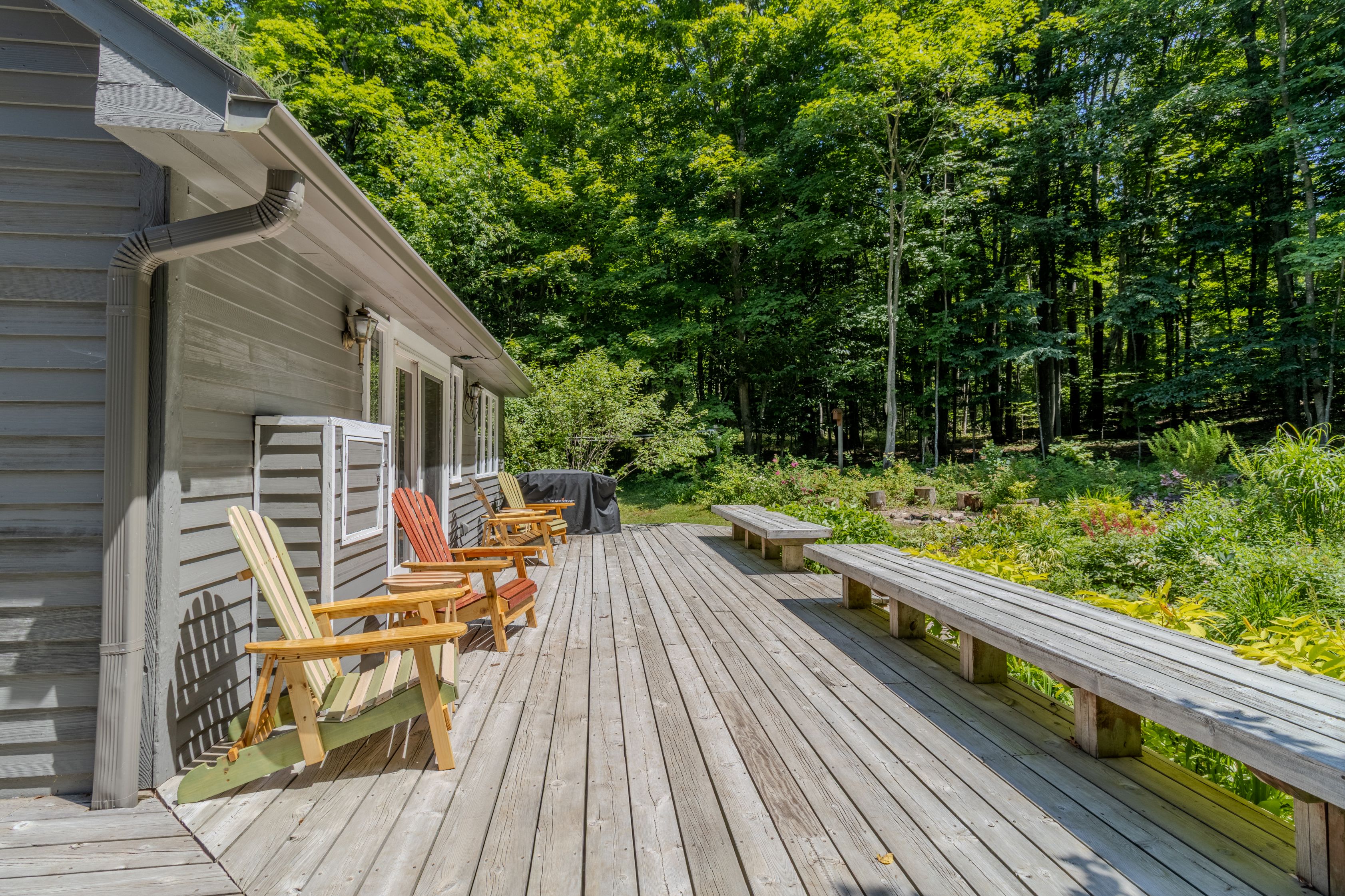 Wild Things Cottage | Photo 3