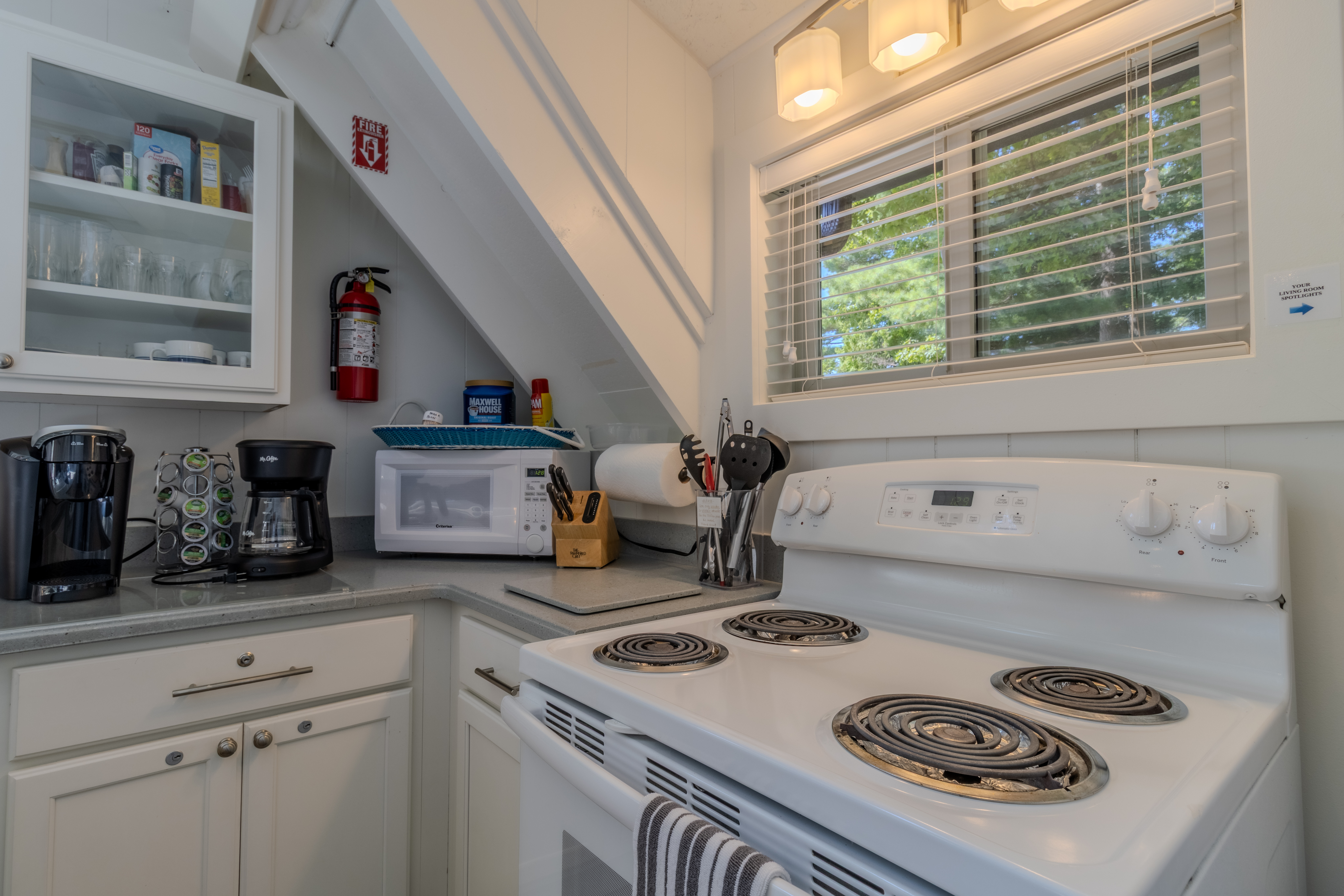 Mama Bear | Photo 12