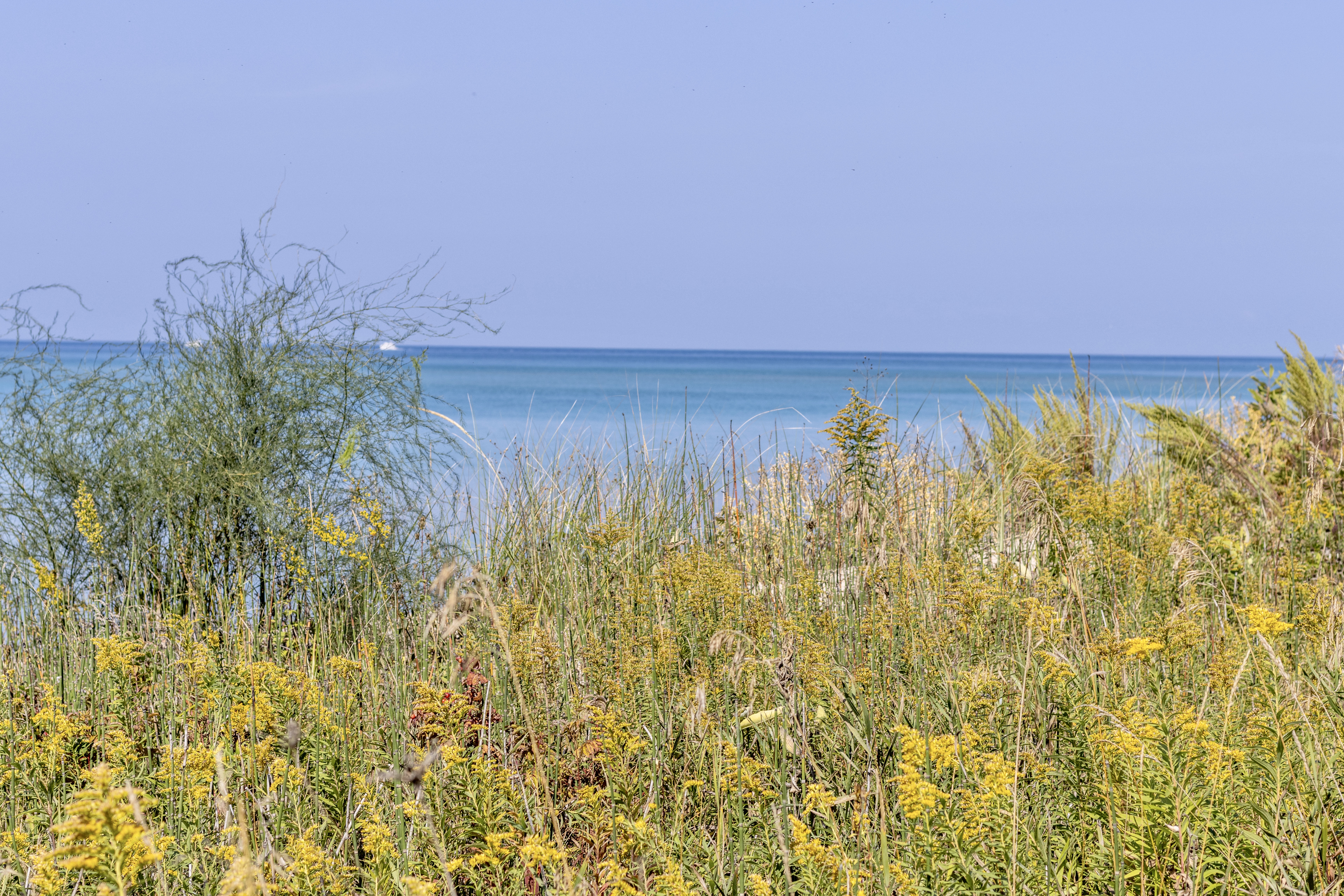 Over The Edge | Photo 81