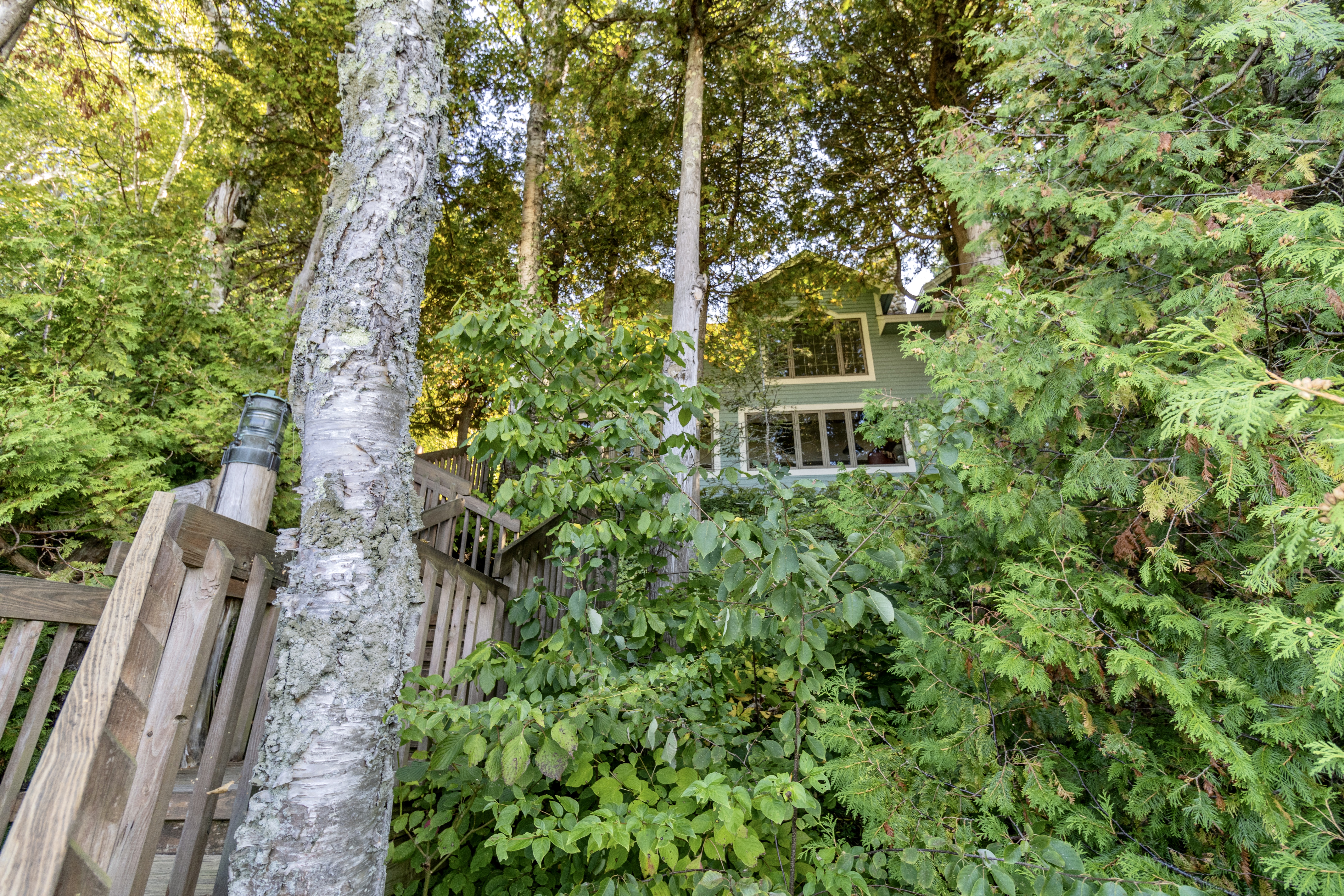 Over The Edge | Photo 92