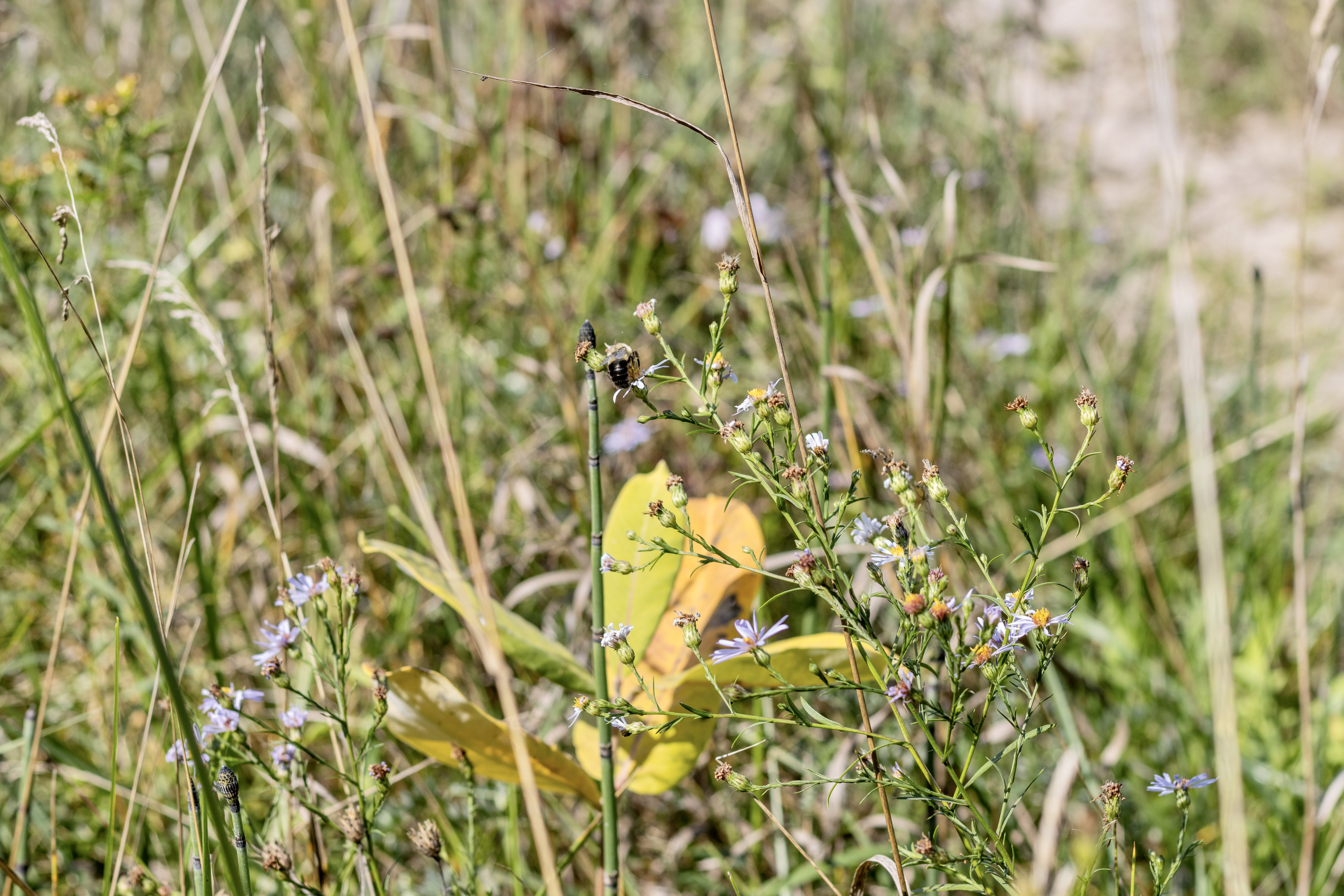 Over The Edge | Photo 39