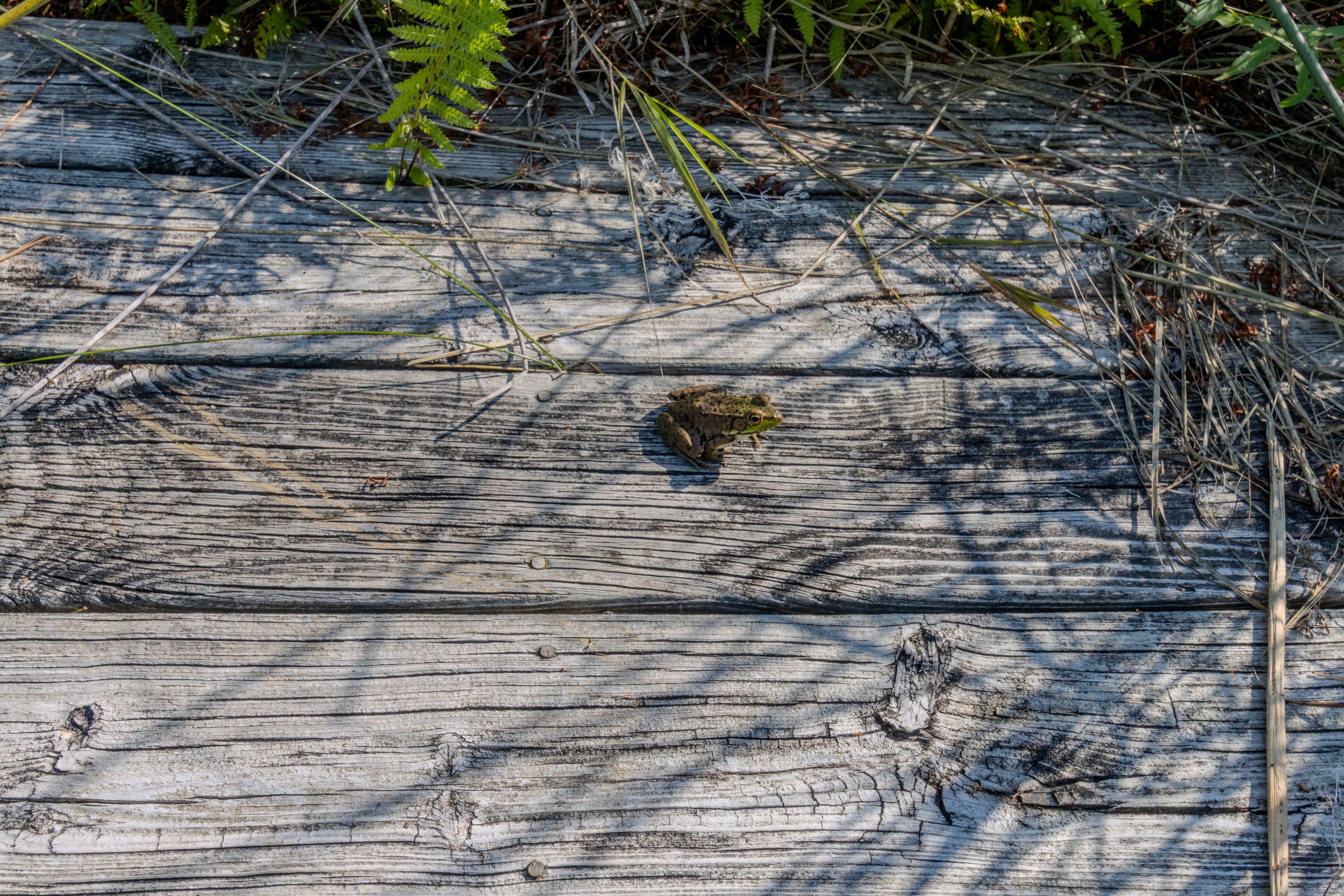 Sunset Suite | Photo 70