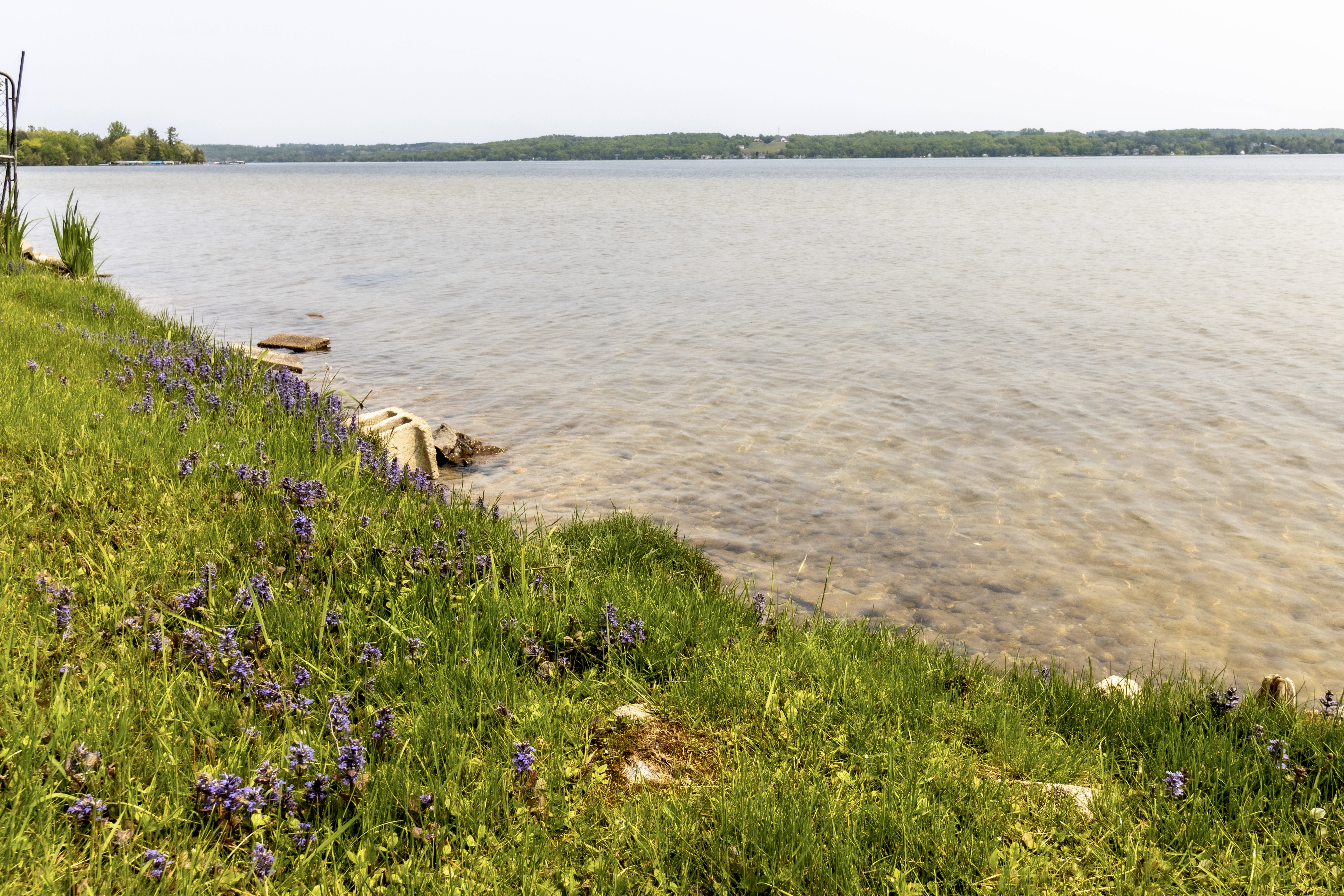 Memos Treasure on Lake Leelanau | Photo 18