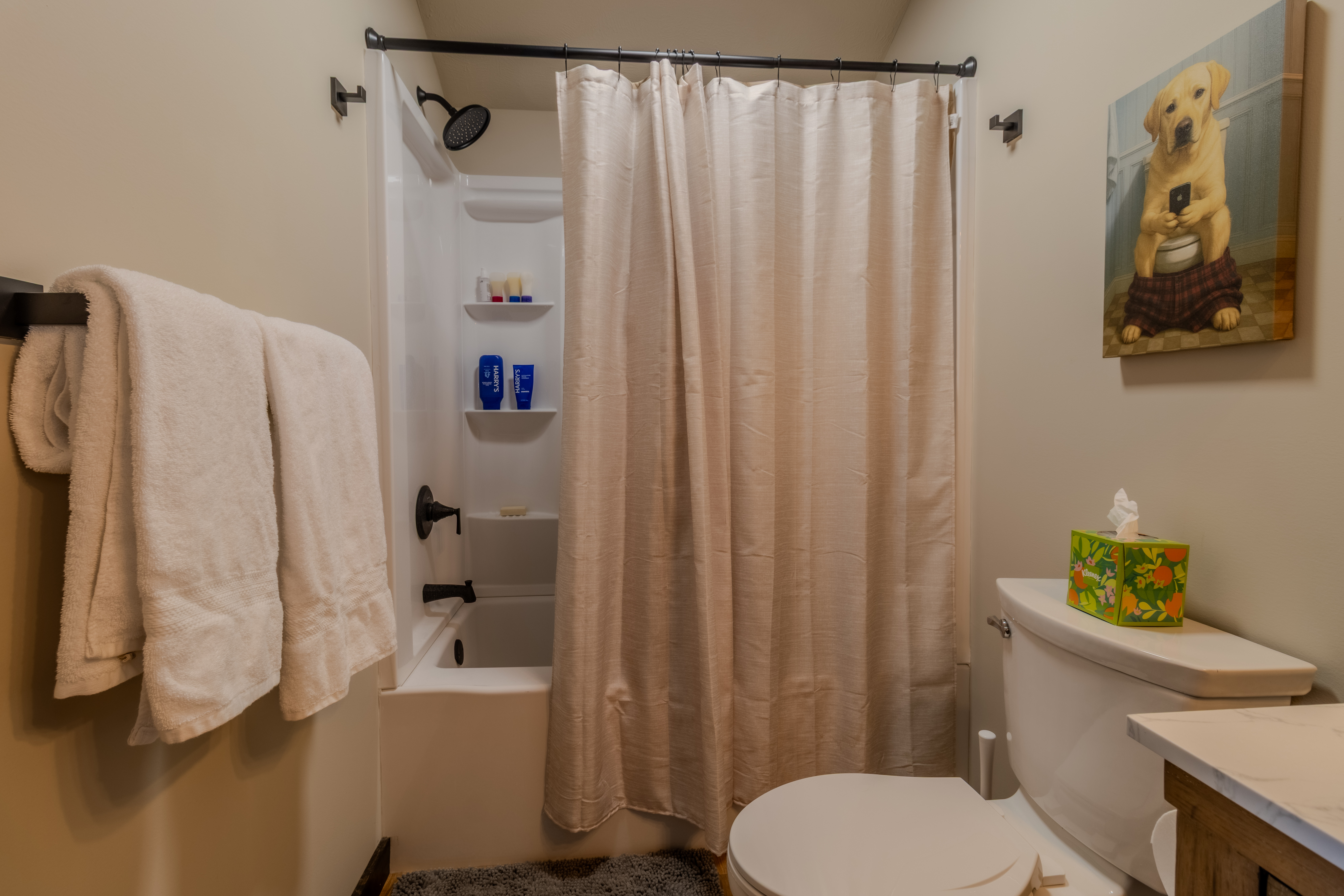 Leelanau L'Attitude 45 | Photo 12