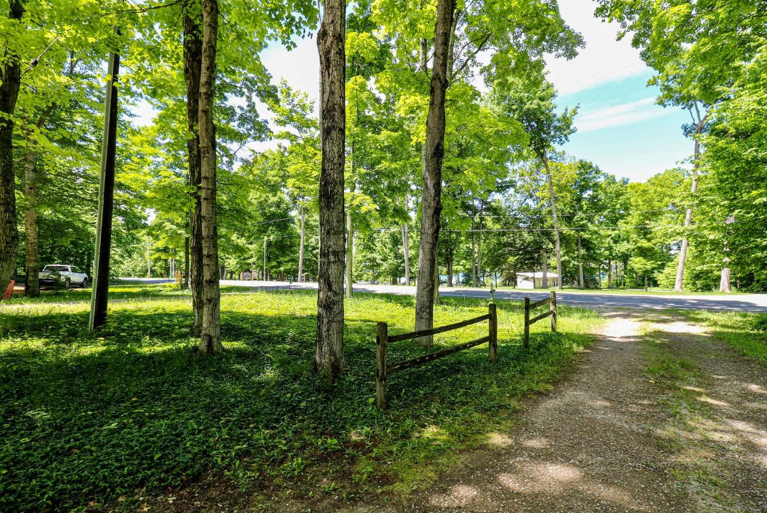 View from the driveway