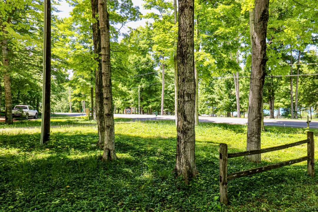 View from the driveway