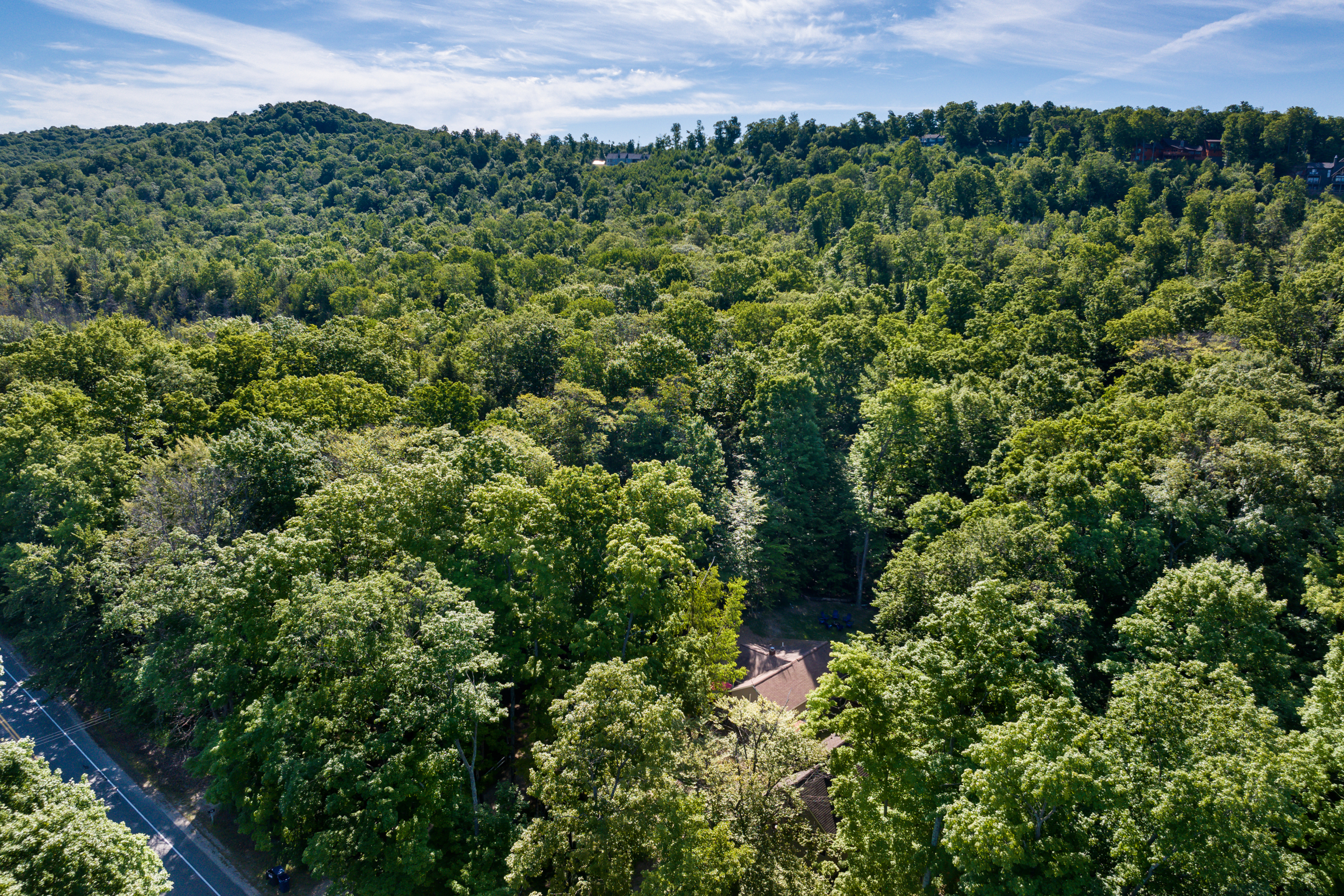 Lazy Bear Landing | Photo 30
