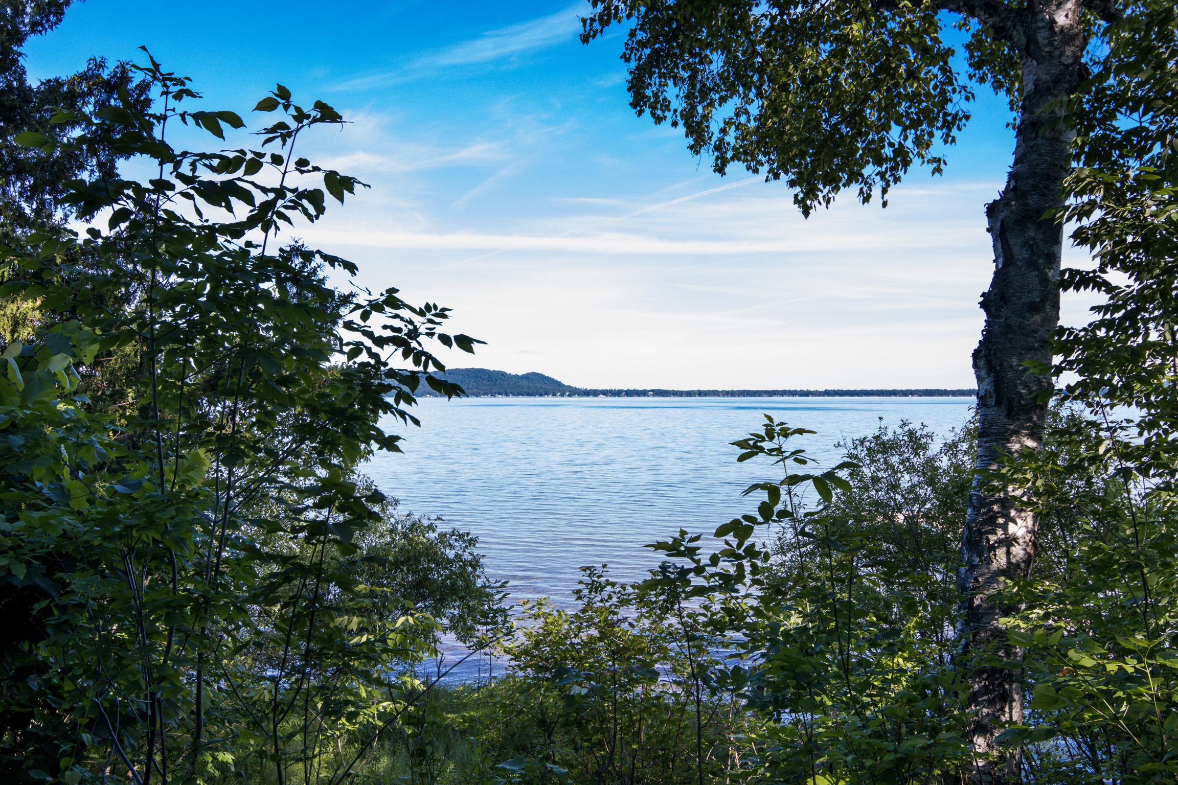 Lazy Bear Landing | Photo 29
