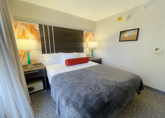 Stylish Aqua Palms Studio