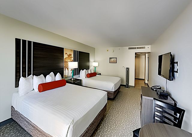 Spacious Aqua Palms Studio