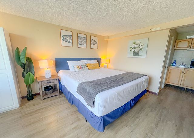 Happy Hawaiian Monarch Studio 