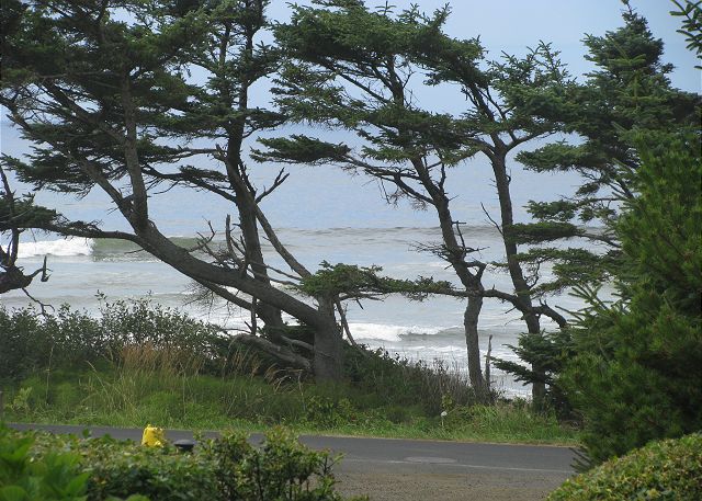 Blowhole Bungalow - Comfortable Yachats Home
