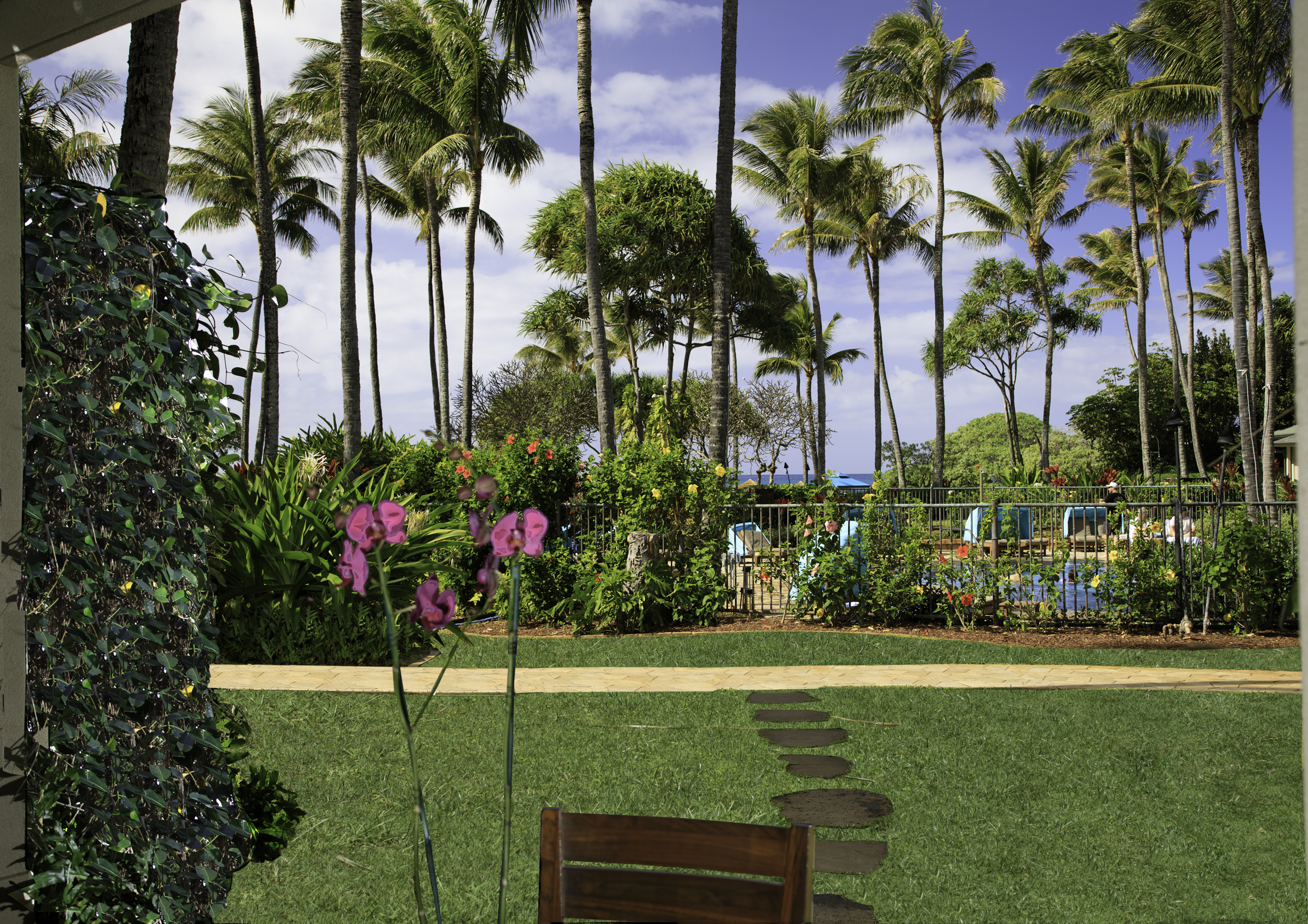 3-Bed Villa 109 at Turtle Bay | Photo 3