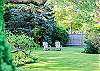 Adirondack chairs Adirondack chairs
