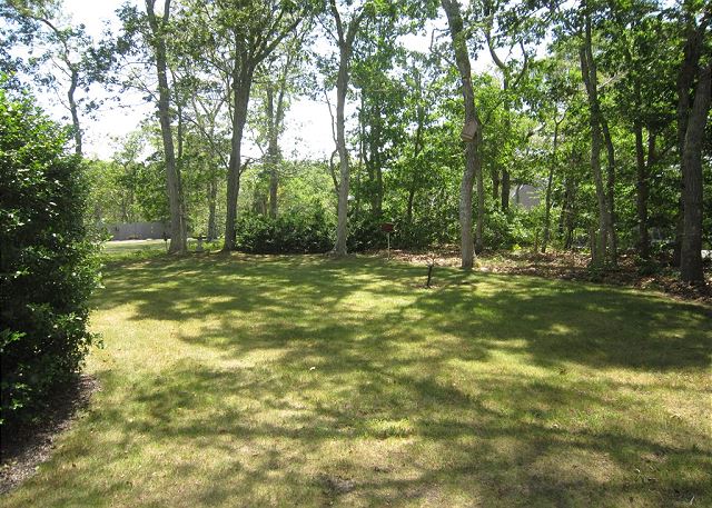 Nice backyard Nice backyard