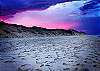 Welllfleet Sunset Welllfleet Sunset