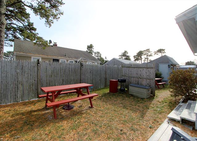 Backyard Backyard