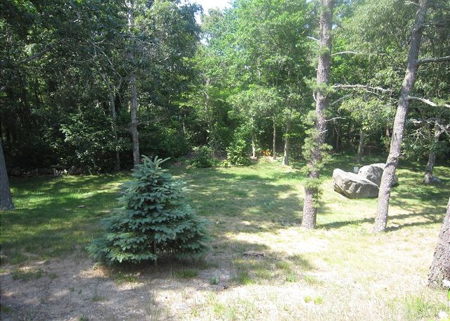 Backyard Backyard