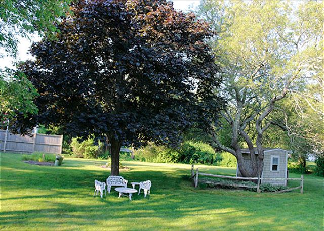 Lawn Lawn
