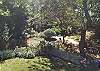 Yard Yard