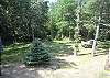 Backyard Backyard