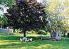 Lawn Lawn