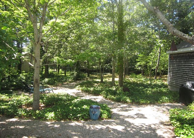 Backyard Backyard