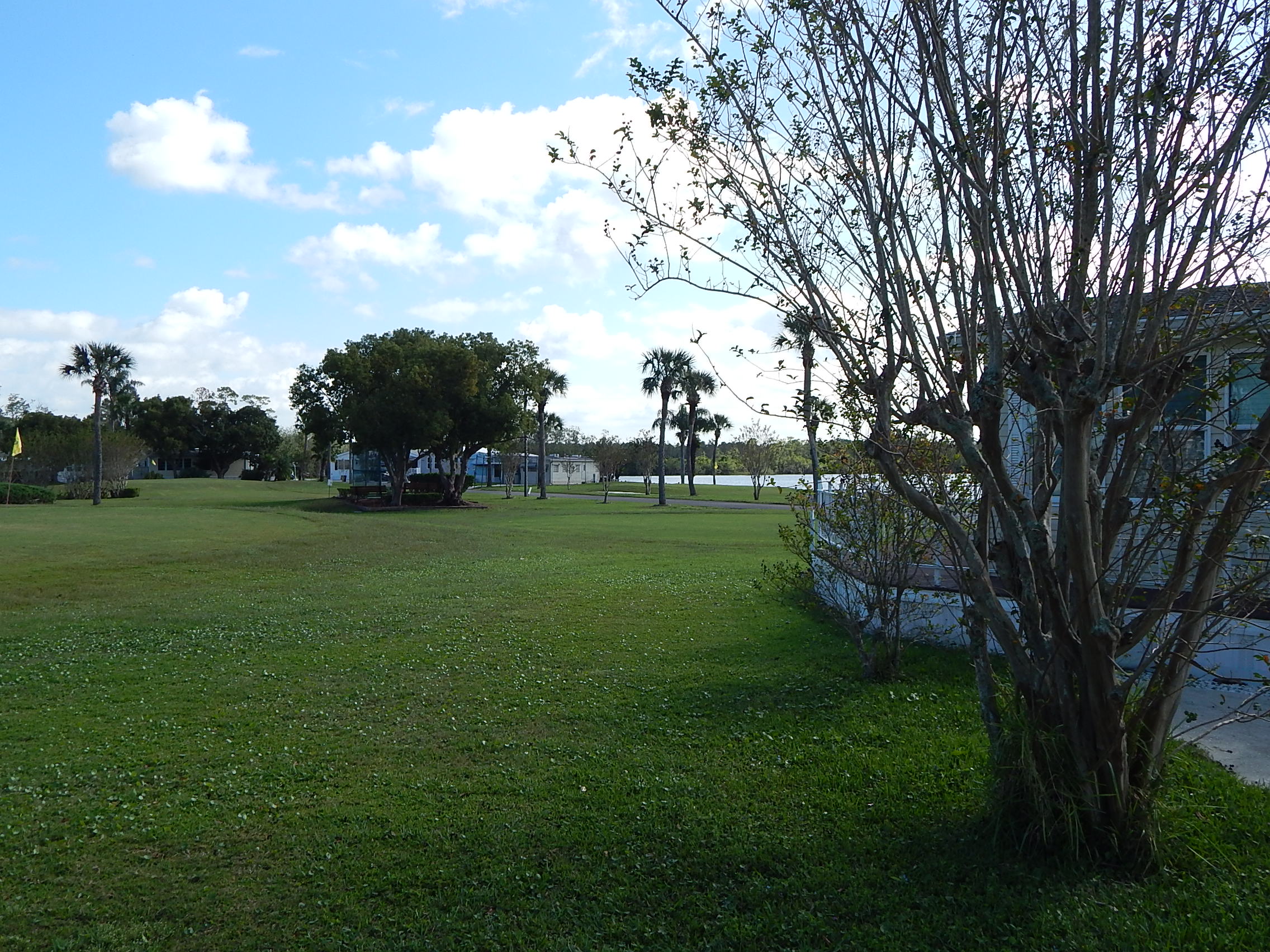 Golf course and lake view