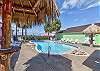 Relax poolside under the palapas 