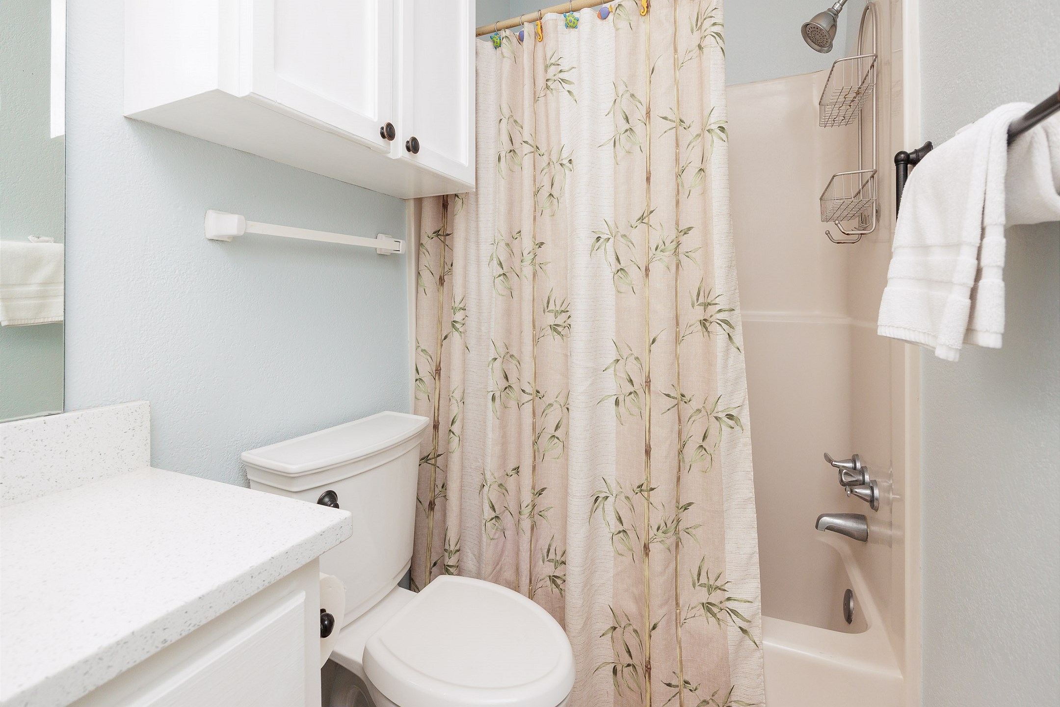 Guest bathroom with tub/shower combo