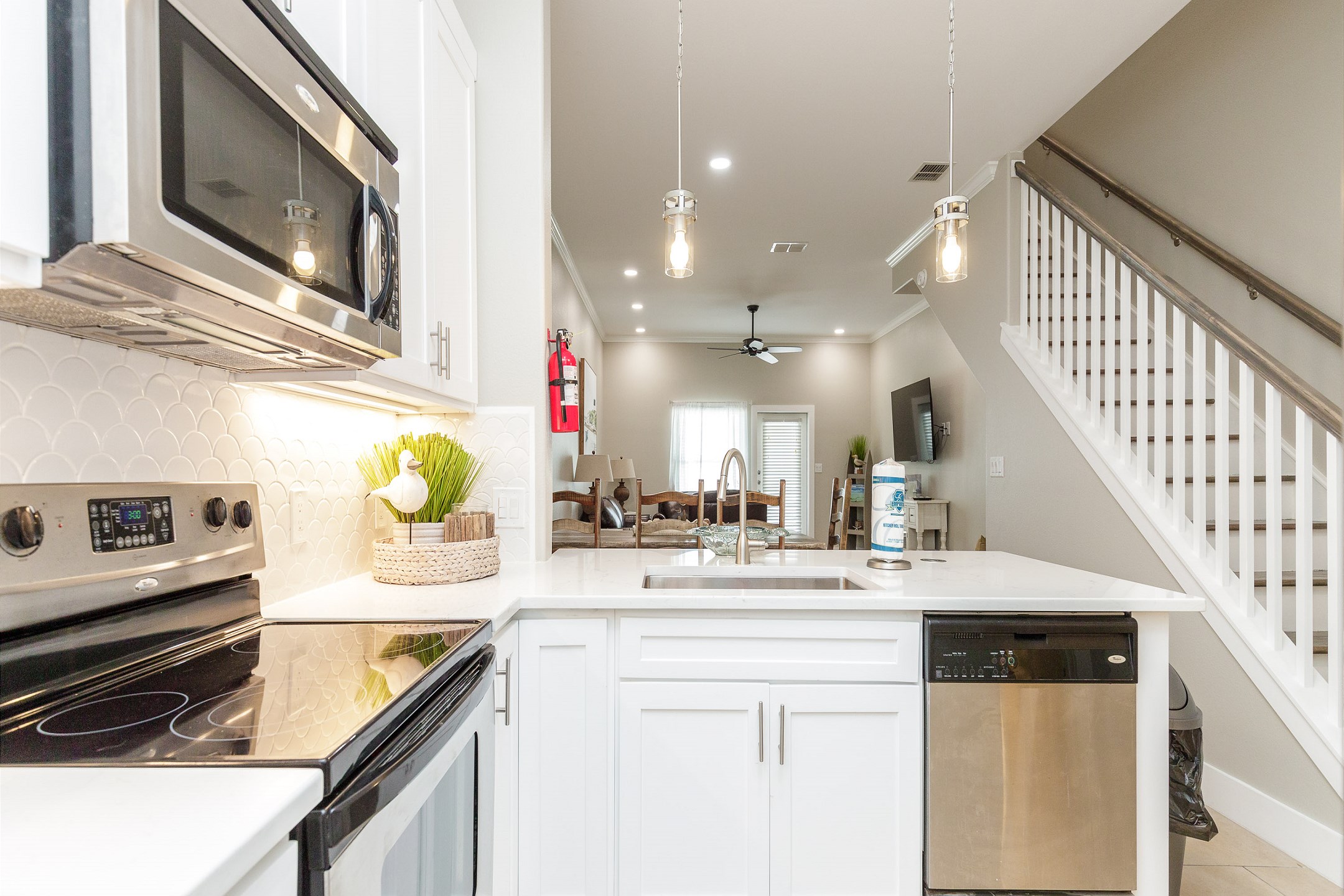 The Silly Seagull CPB105K 3