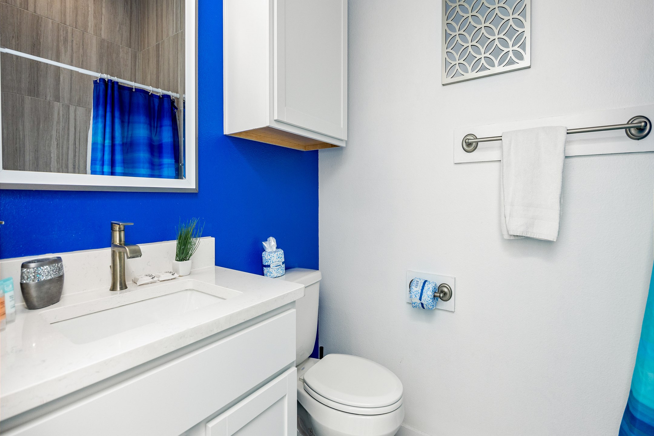 Guest bathroom with single sink and walk in shower